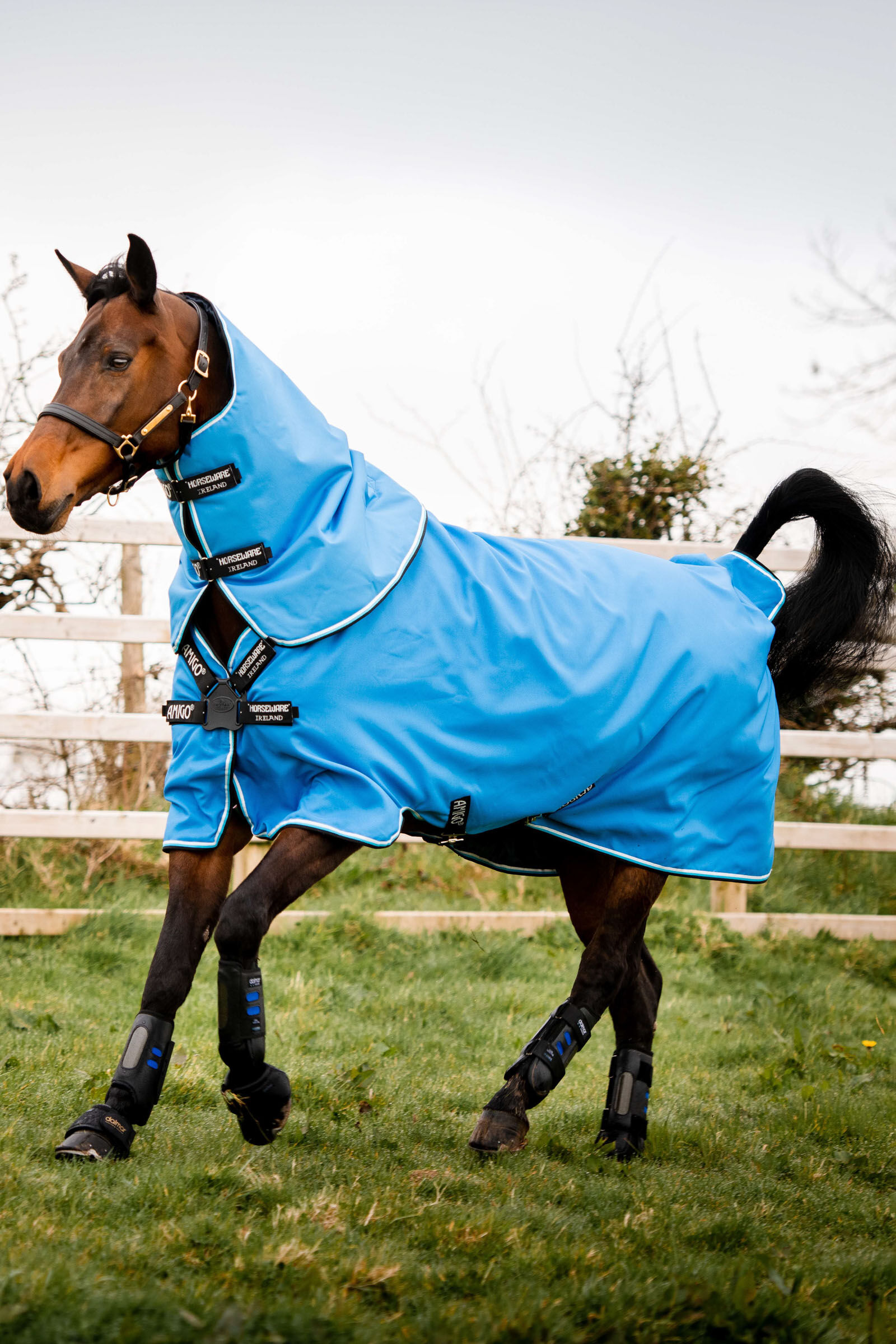 Horseware Amigo Hero 900 Plus Turnout Utetäcke inkl. Avtagbart halstäcke, 200g