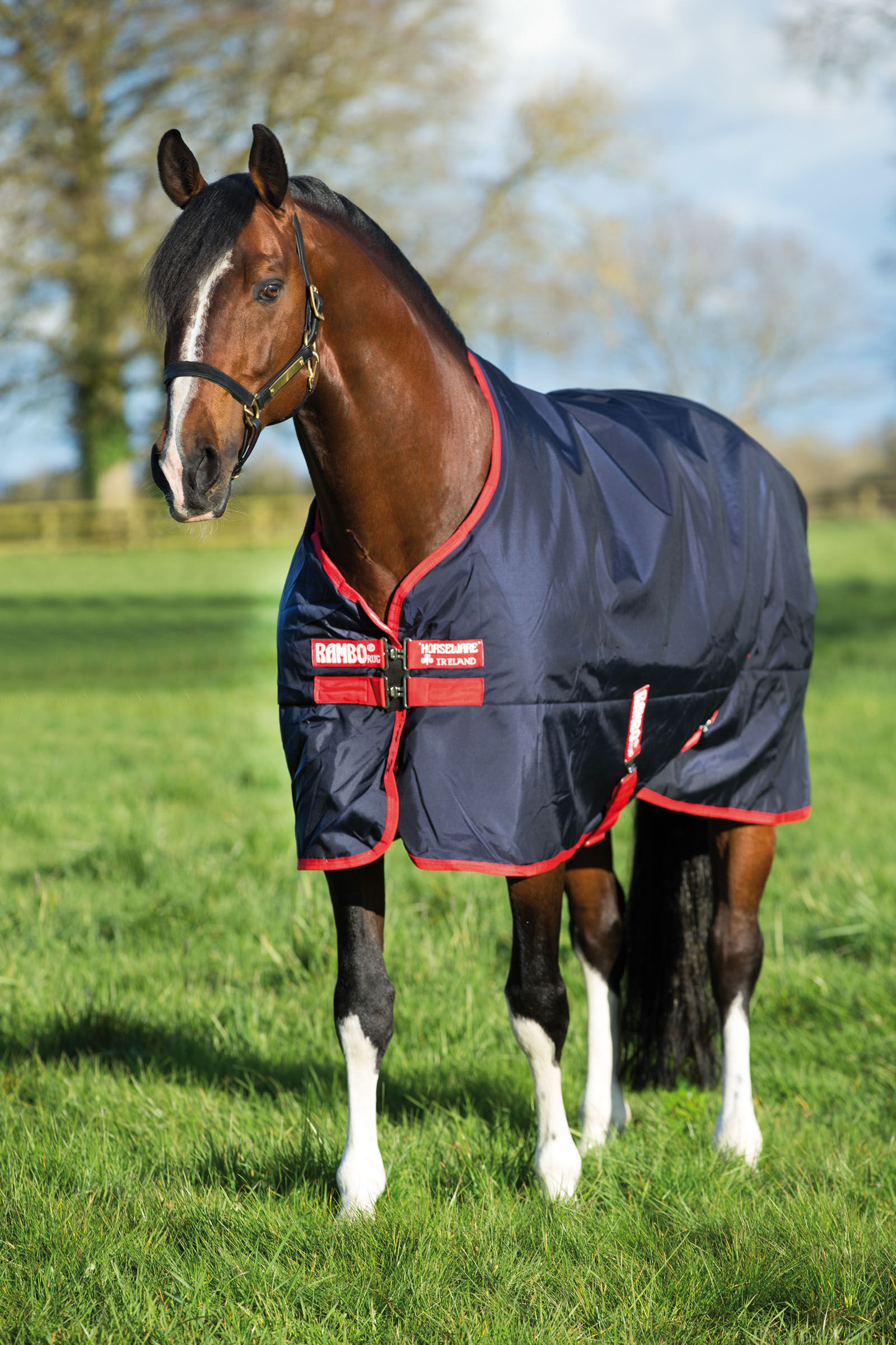 Horseware Medium & Heavyweight Turnouts