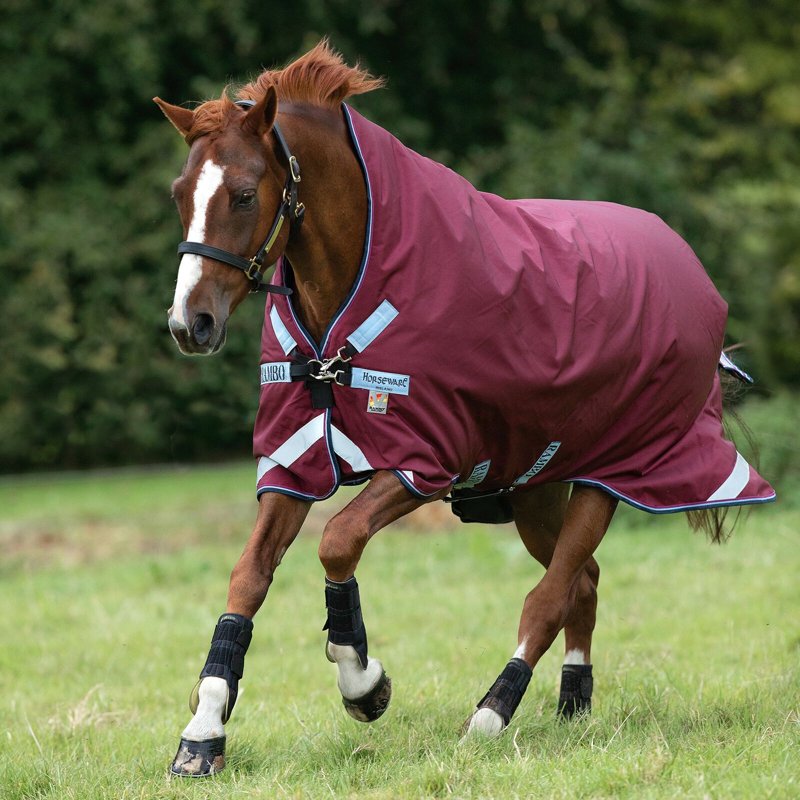 Horseware Medium & Heavyweight Turnouts