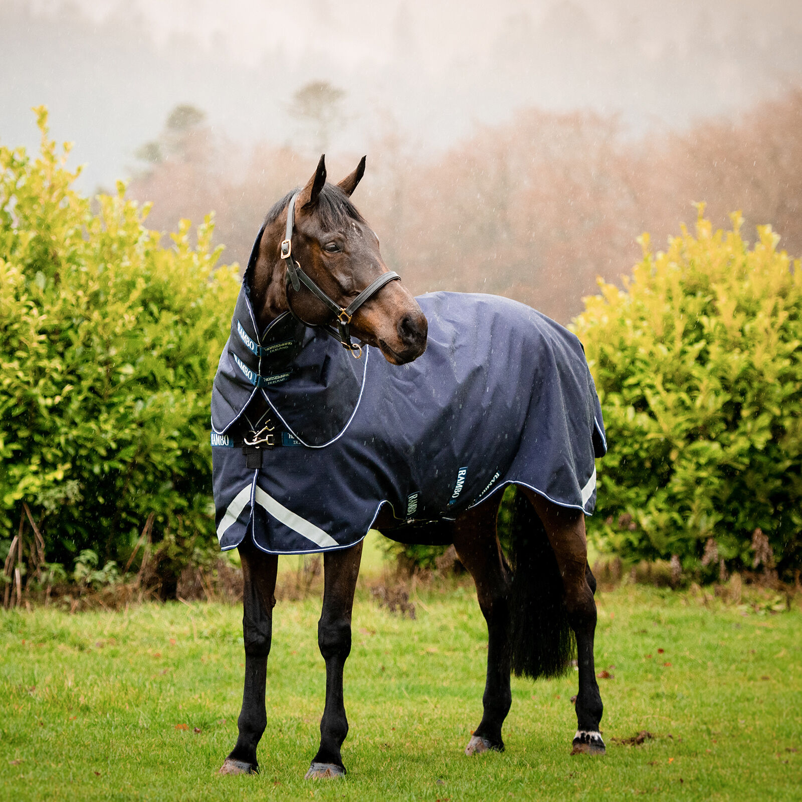 Horseware Rambo Duo Force Turnout incl. Detachable Hood, 0g, Dark Blue/Dark Blue/White, 140