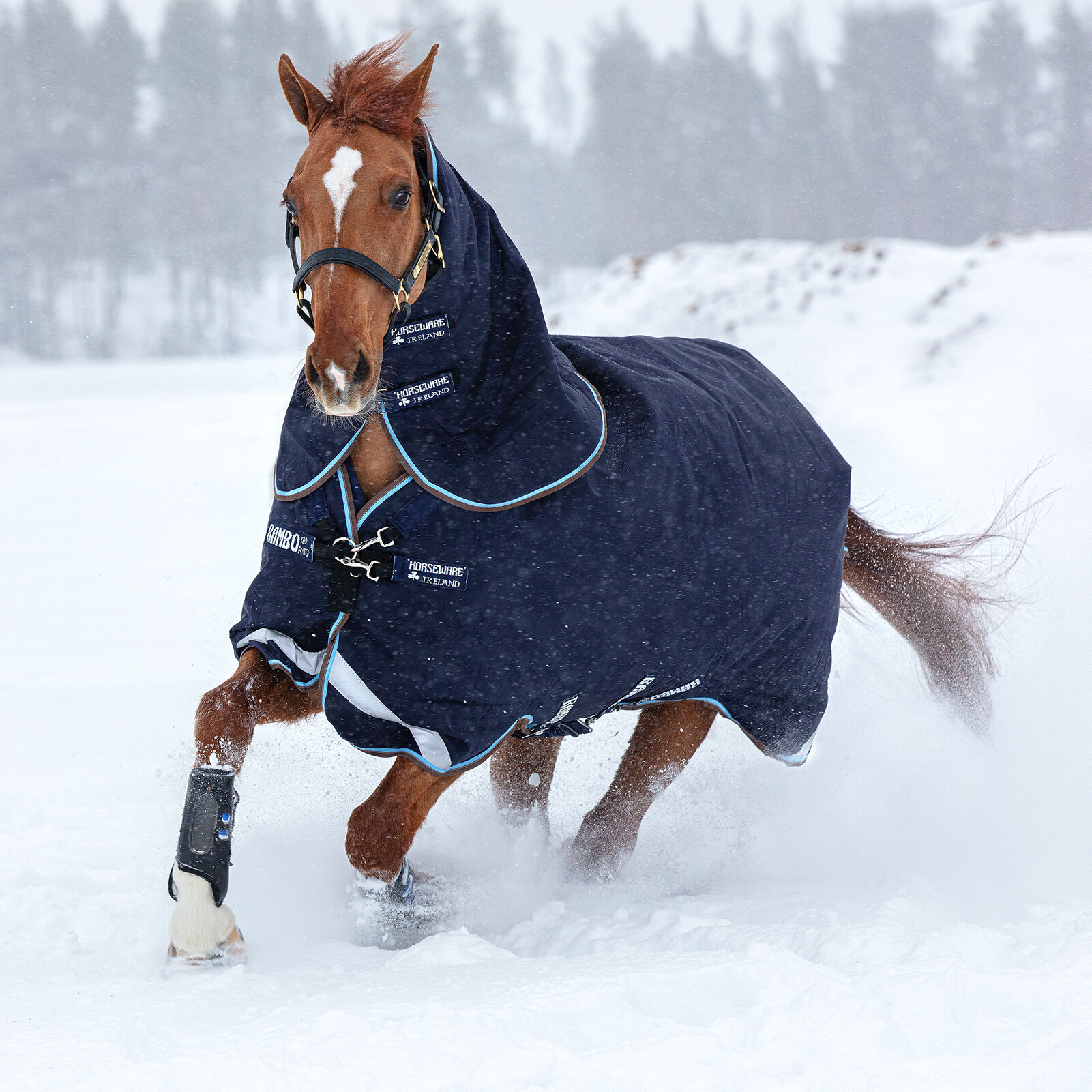 Horseware Rambo Duo Turnout Utetäcke inkl. Avtagbart halstäcke 100g