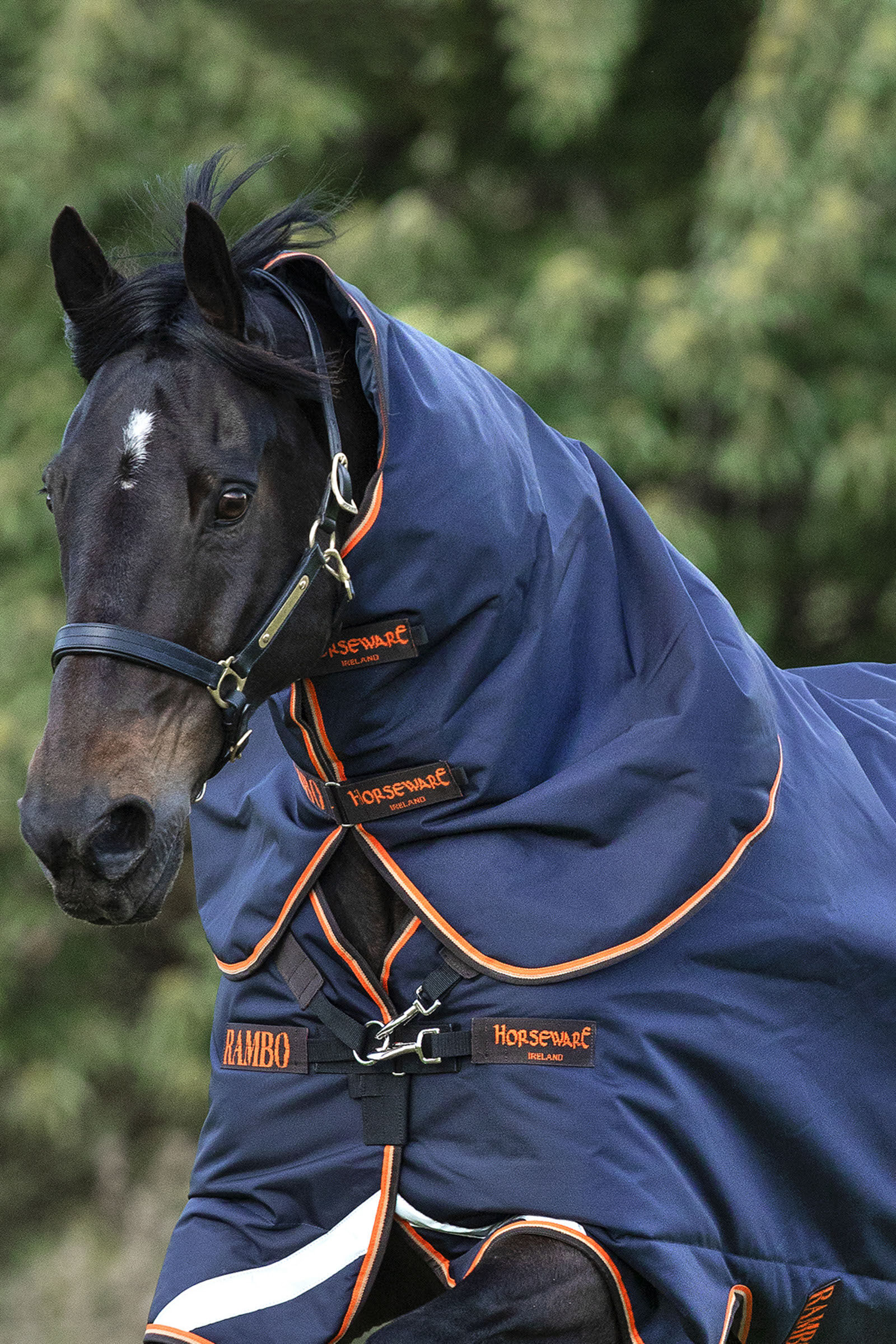 Horseware Rambo Supreme Hood, 50g, Navy/ Orange/ Tan Brown, S