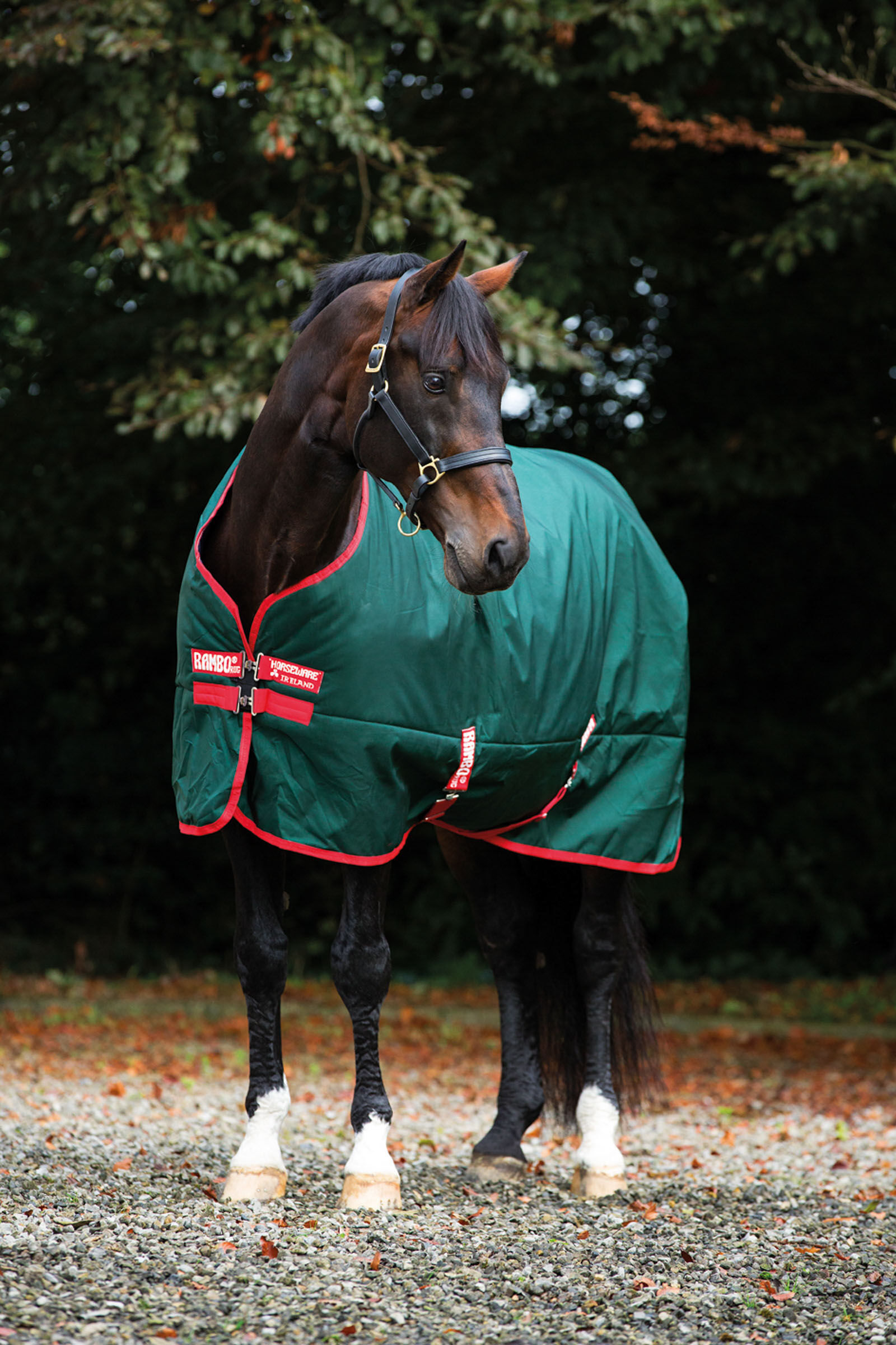 Horseware Rambo Original Turnout, 0g, Green/Red, 125
