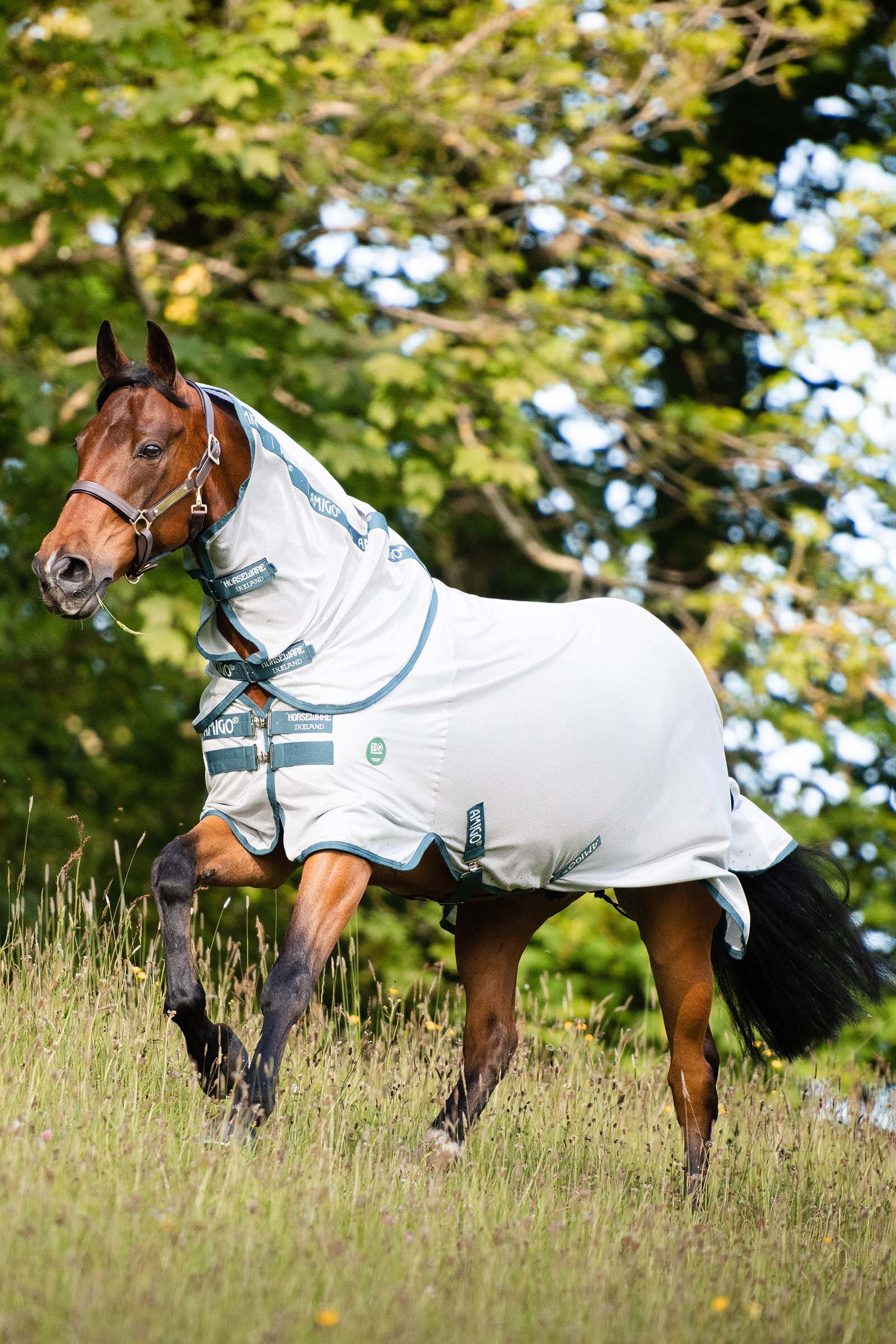 Horseware AmEco couverture anti-mouches, Silver/Electric Blue, 125