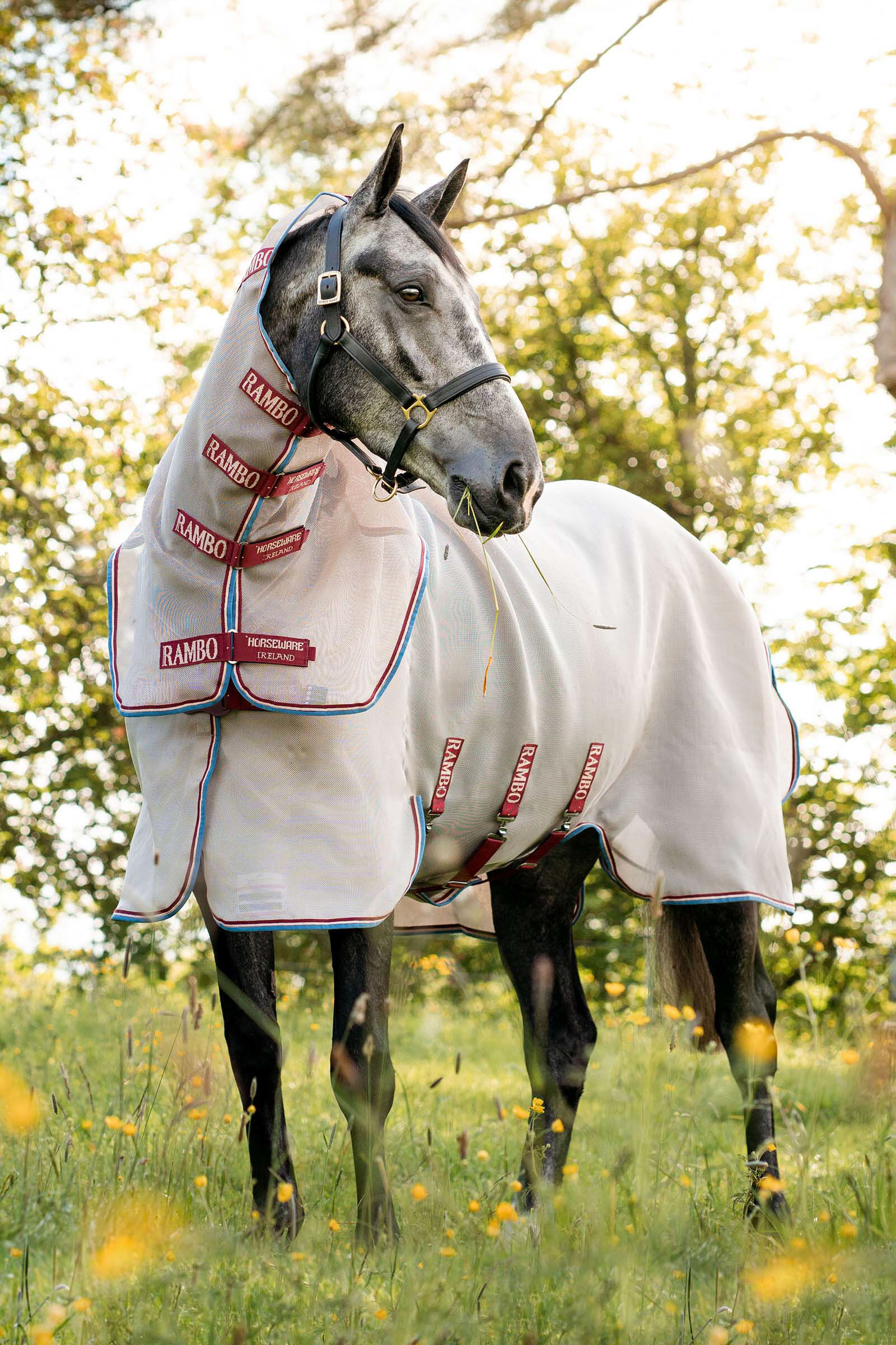 Horseware Rambo Protector couverture anti-mouches avec partie de cou amovible et fermeture Disc, Otter Brown, 125
