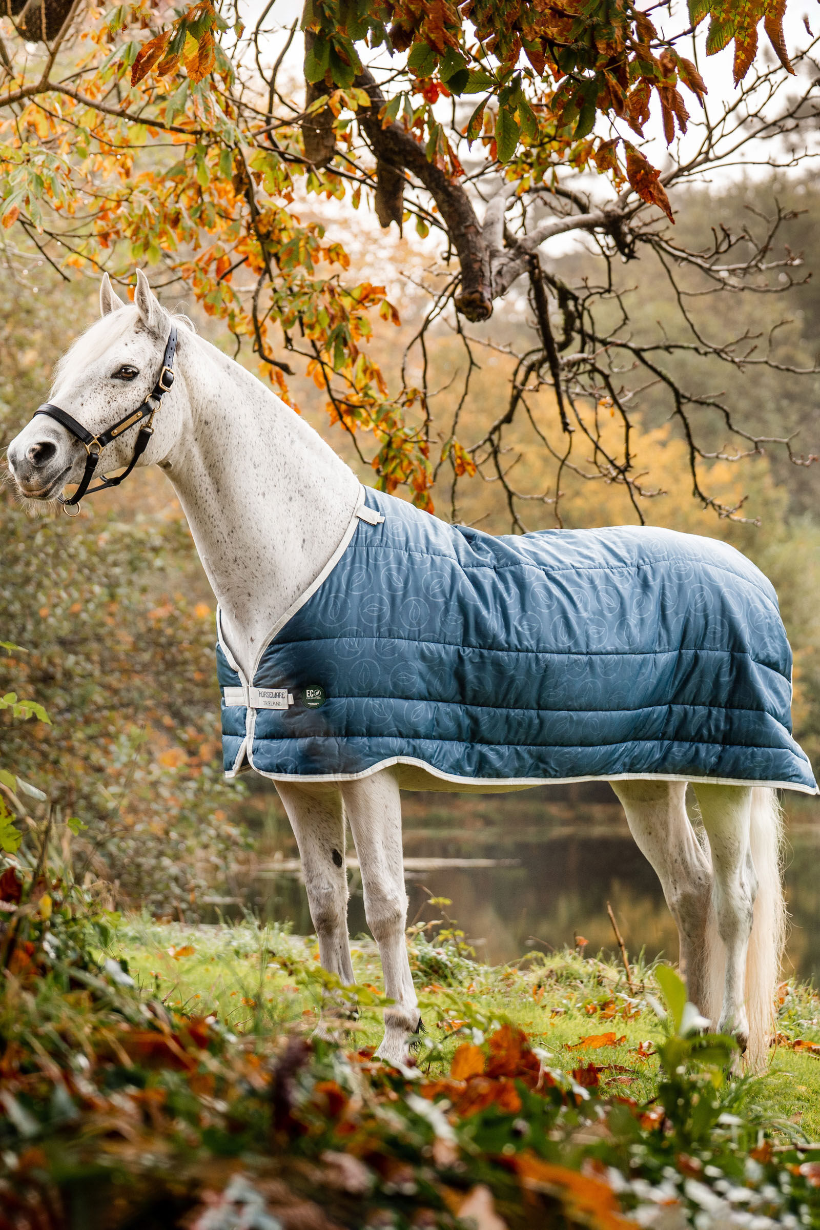 Horseware AmEco Liner, 100g, Teal/ Grey, 140