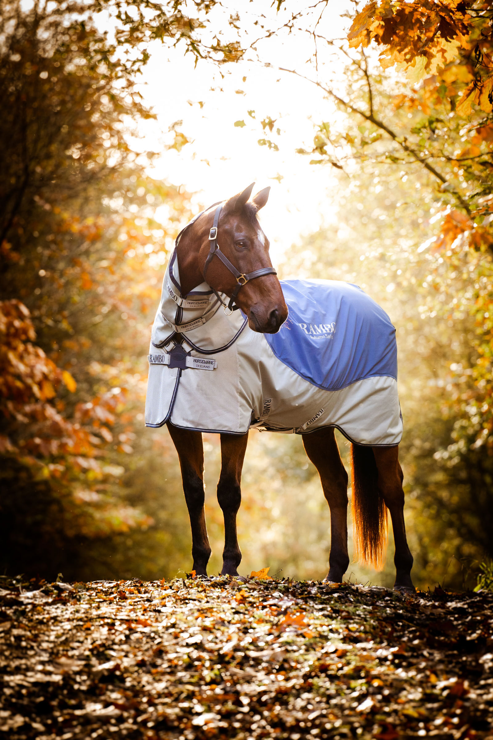 Horseware Rambo Autumn Series Turnout Rug With Liner (0g / 100g), Navy/Grey, 115