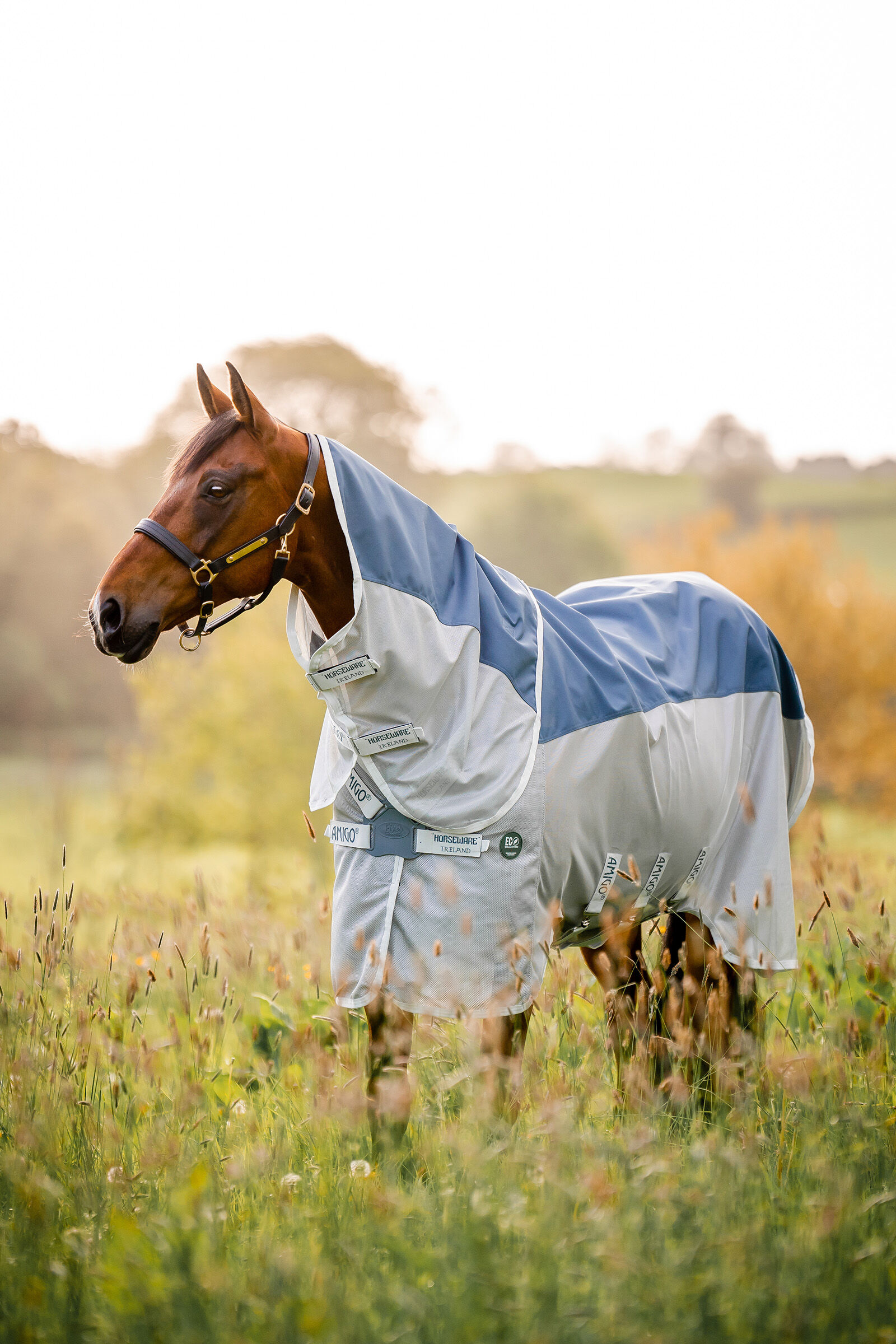 Horseware Amigo AmEco Combi couverture anti-mouches, Teal/ Grey, 115