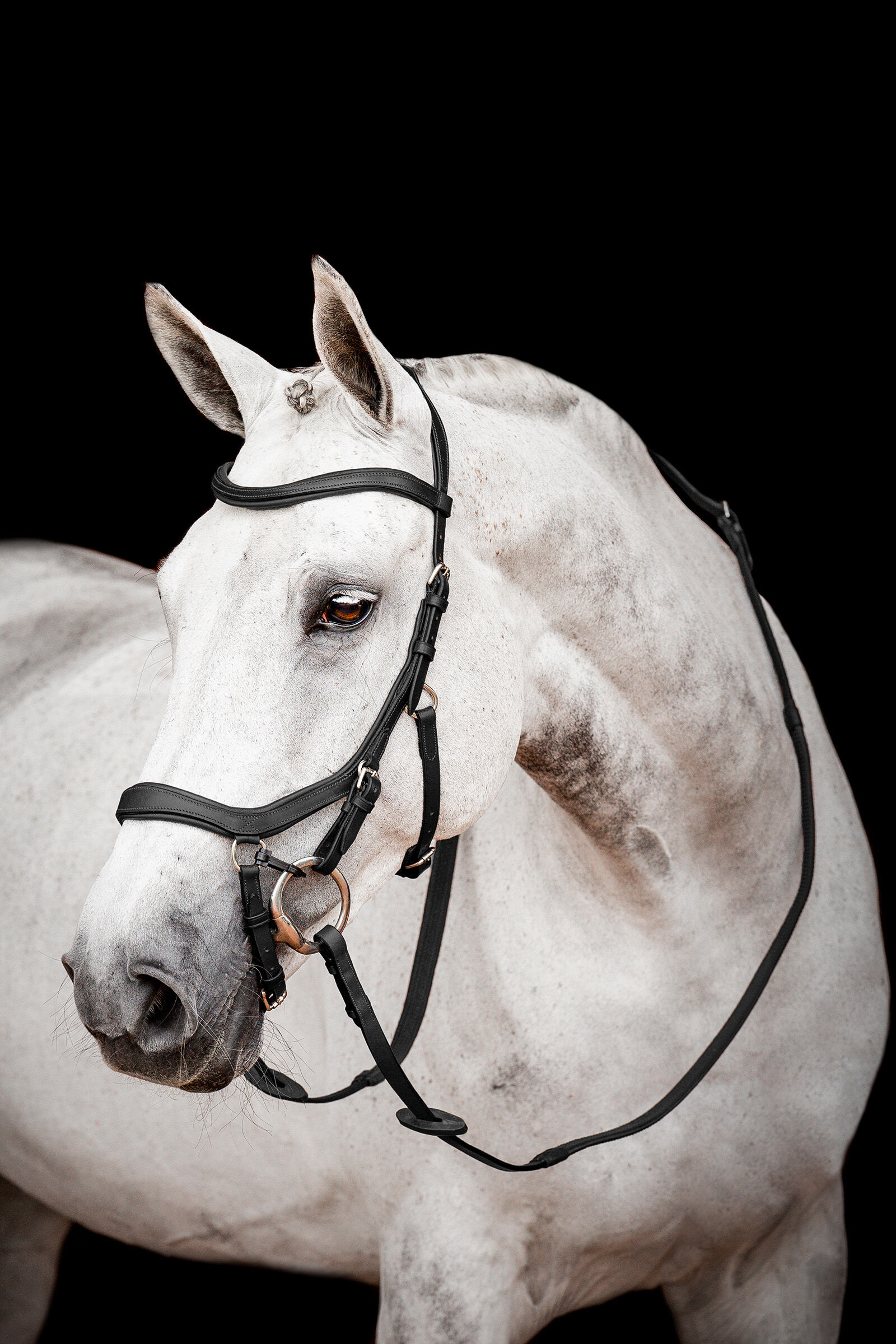Horseware Micklem 2 Competition Bridle, Black, P