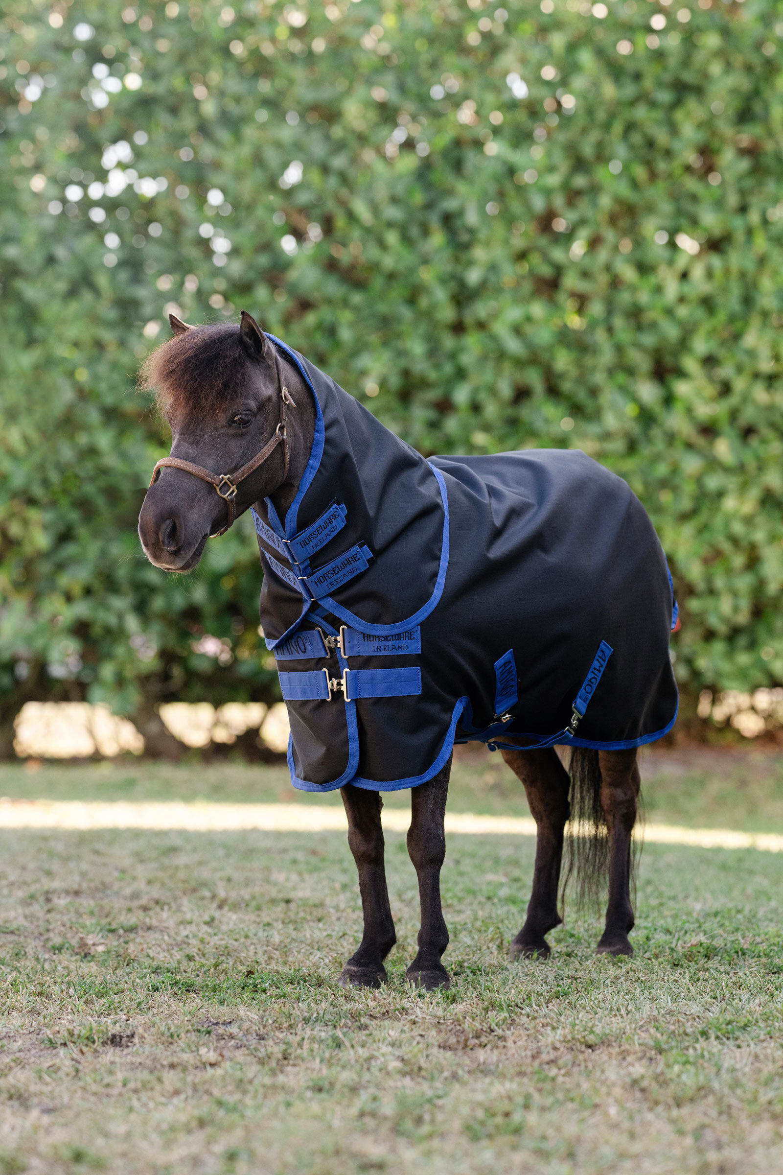 Horseware Amigo Ripstop 900D Foal Turnout 50g