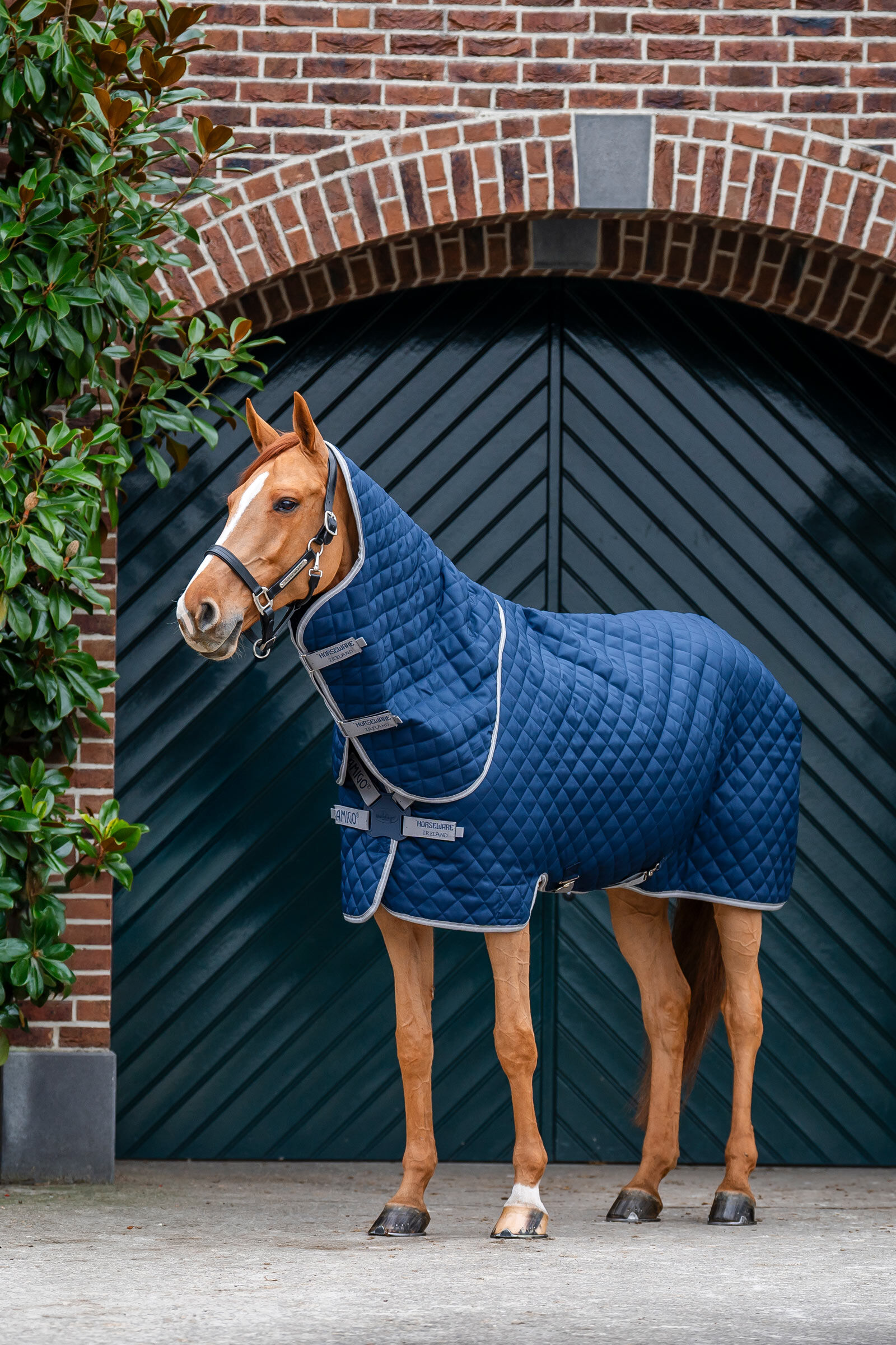 Horseware Amigo Quilted Stable Plus Rug, 200 g