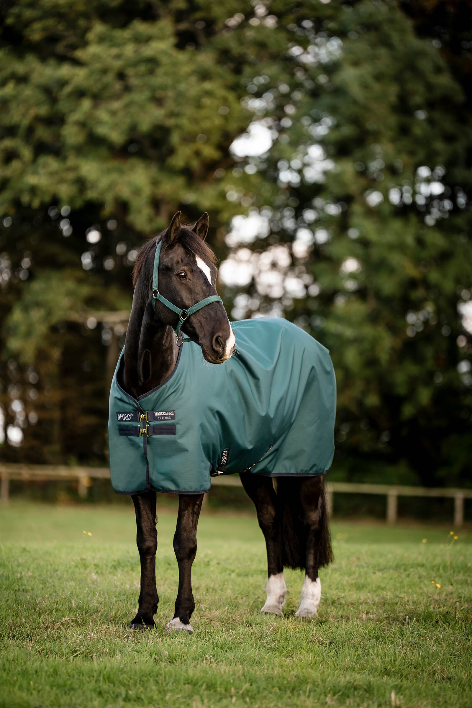 Horseware Amigo Ripstop 900D Turnout Rug, 100 g