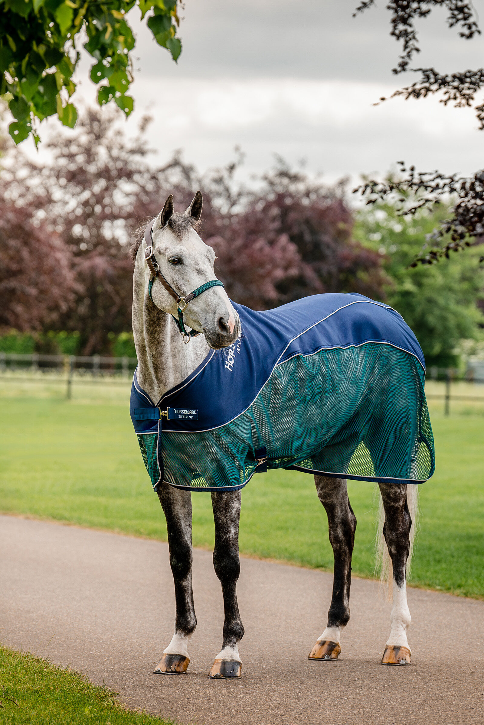 Horseware Signature Sport Abschwitzdecke