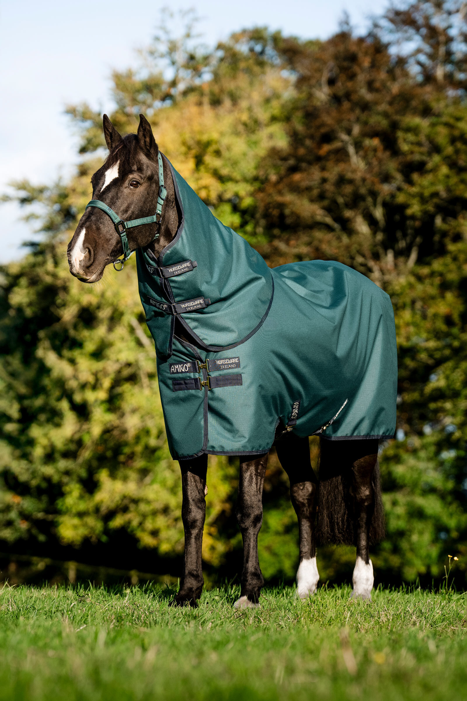 Horseware Amigo Ripstop 900D Plus utetäcke för ponny, 50 g
