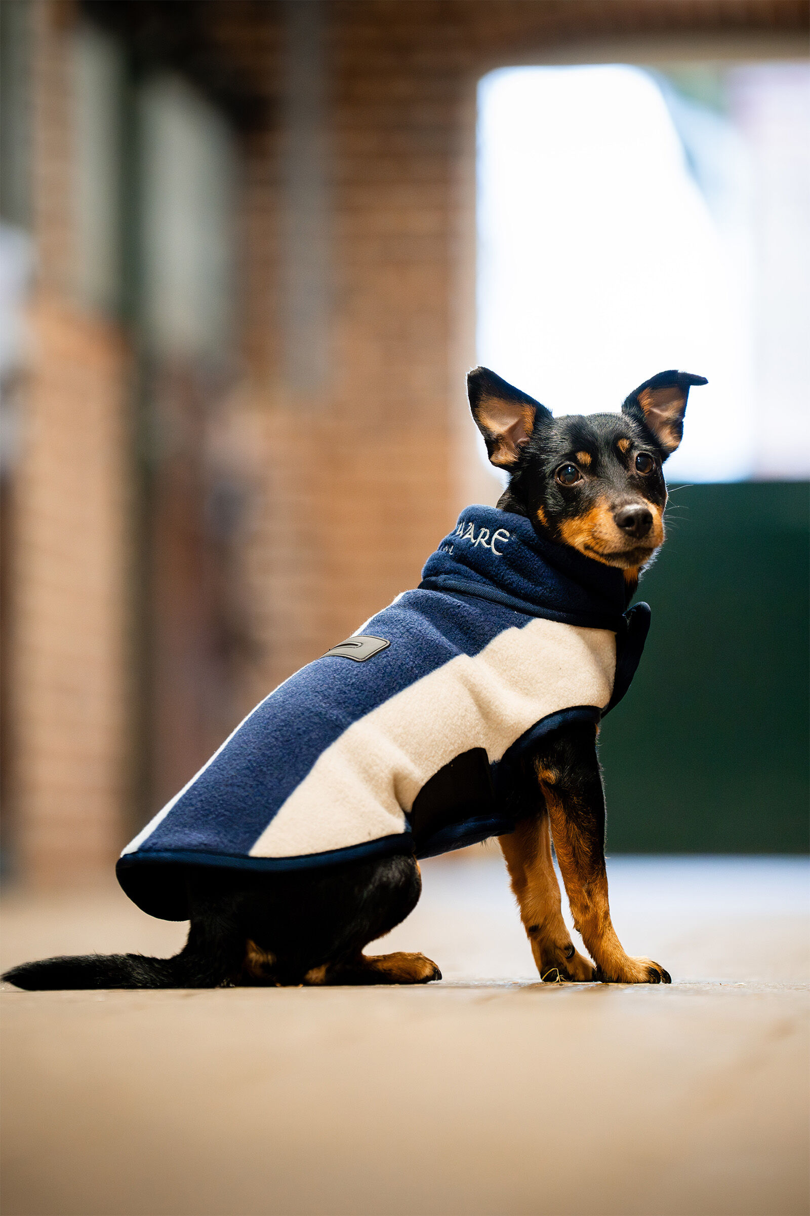 Horseware Signature Dog Fleece