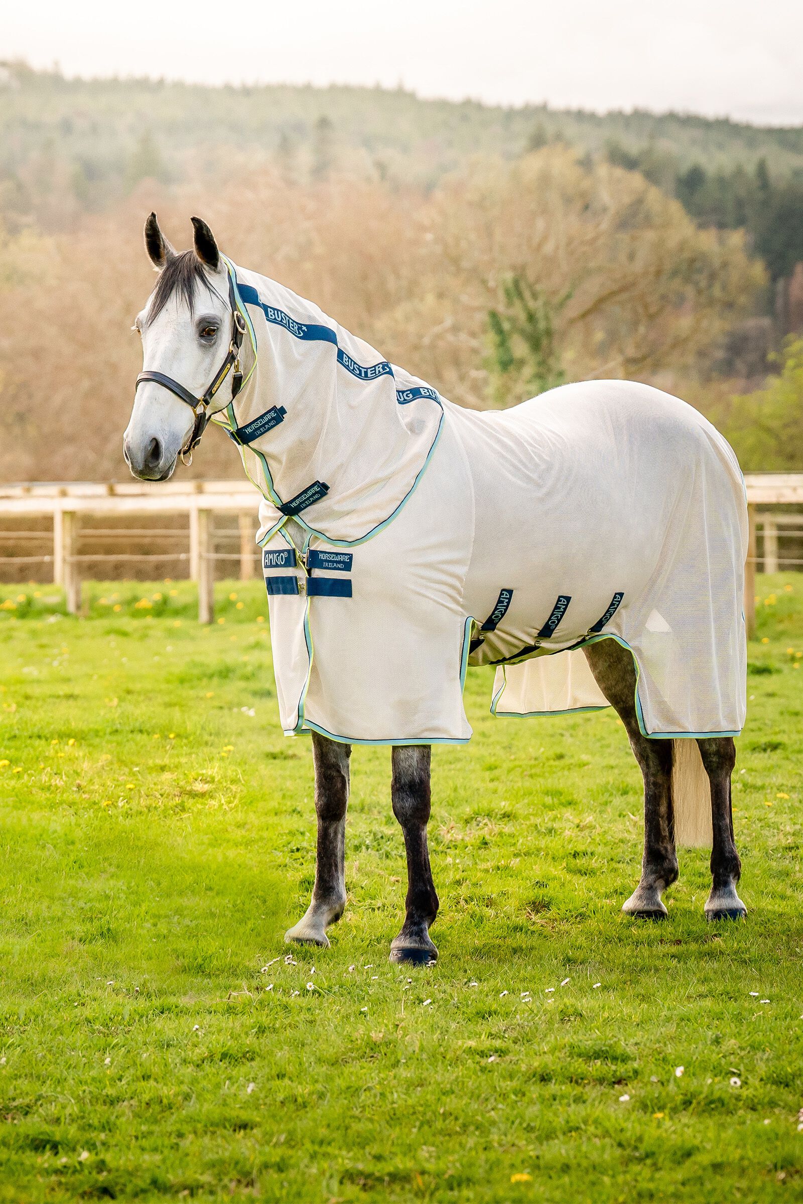 Horseware Amigo Bug Buster vliegendeken met afneembaar halsteil