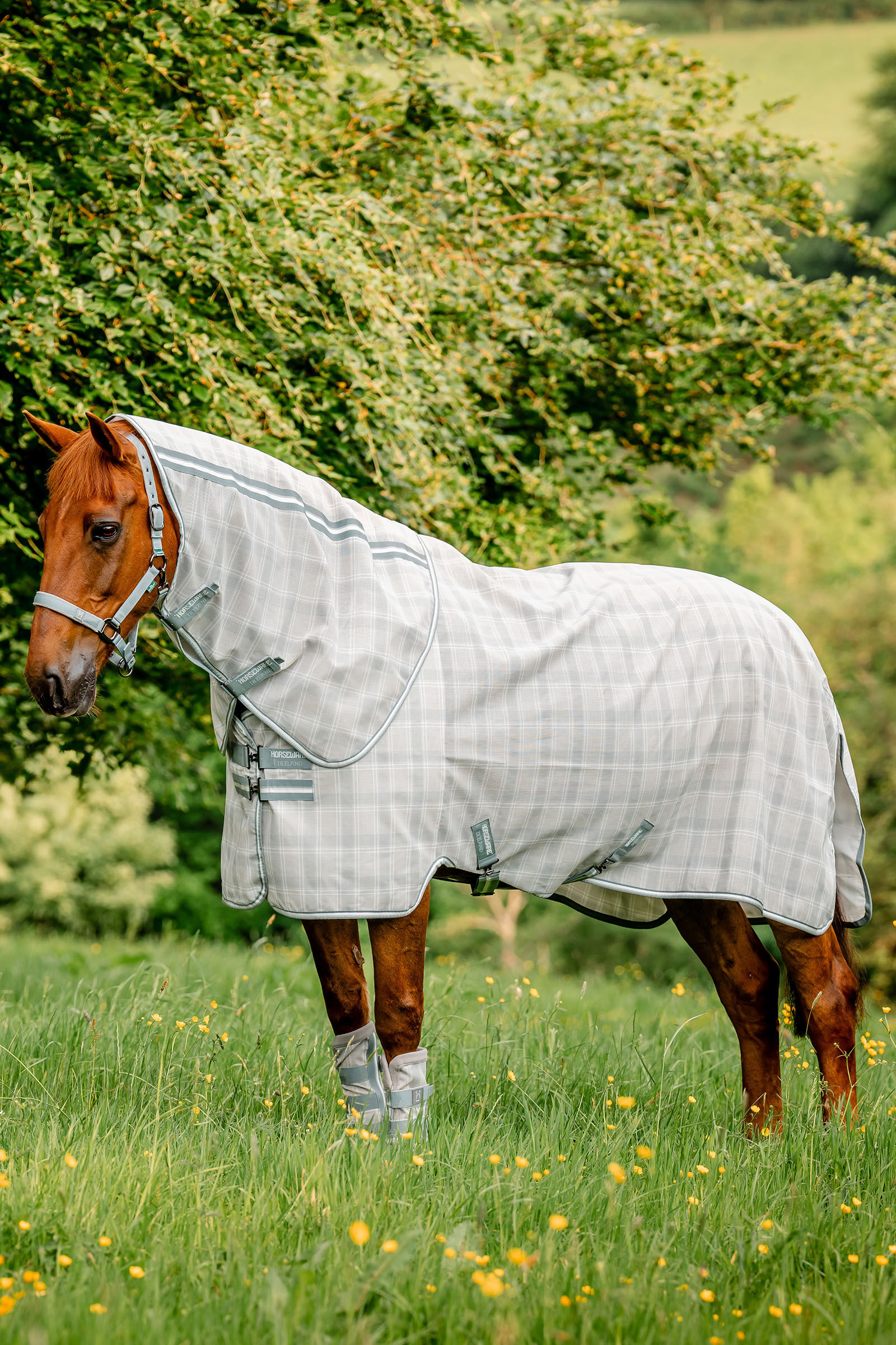 Horseware Newmarket Plus Couverture anti-mouches