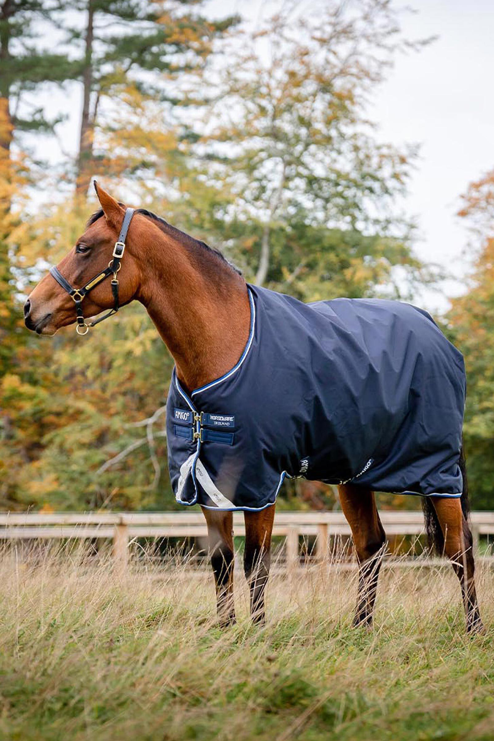 Horseware Amigo Bravo 12 Original utetäcke, 250g, Dark Blue/Blue/Black, 125