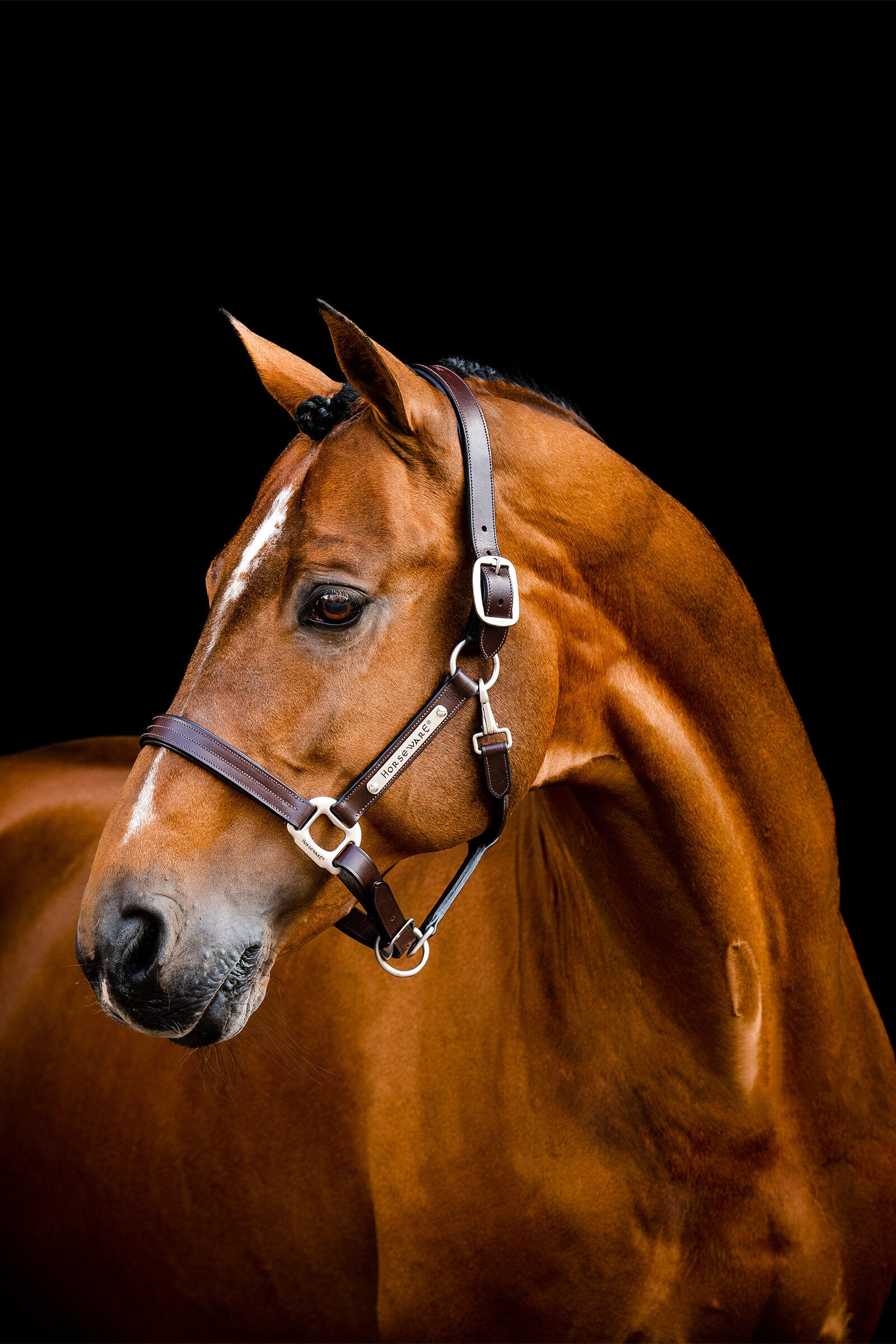 Horseware Handtekening leren halster