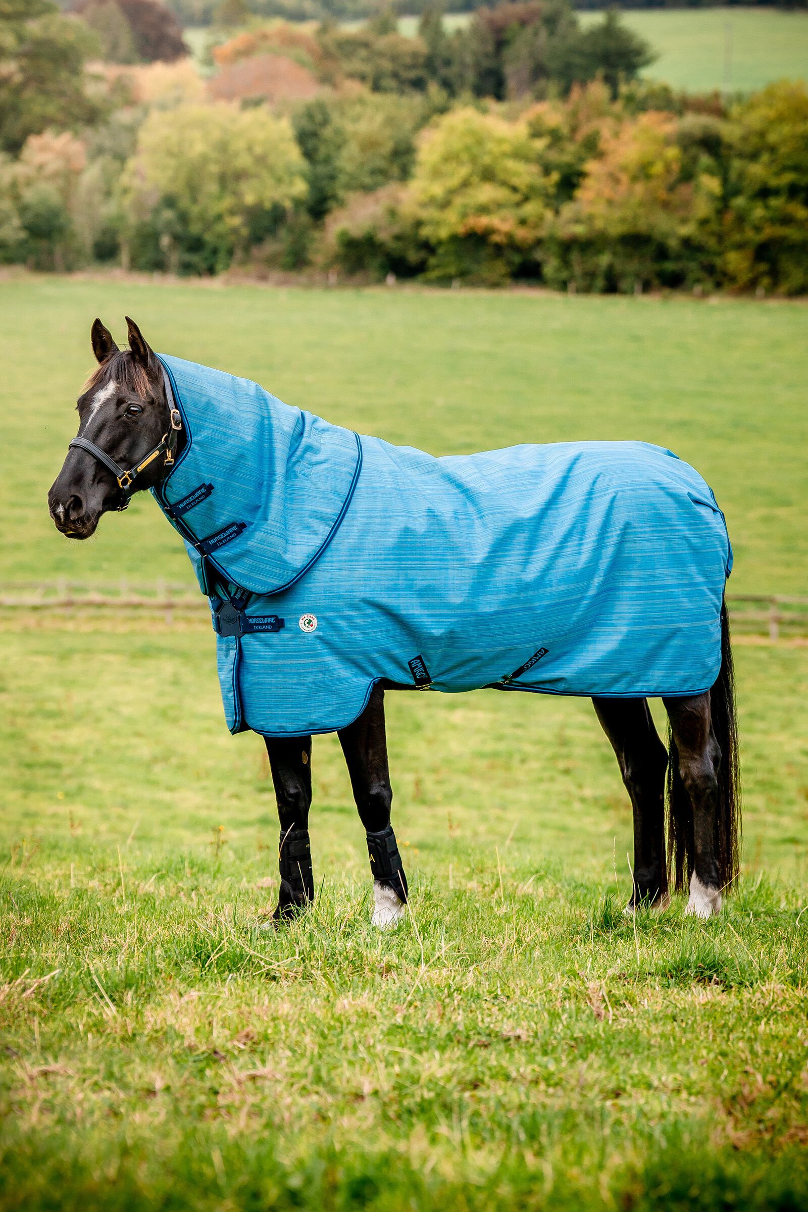 Horseware Amigo Hero 900 Revive Plus Turnout utetäcke inkl. avtagbart halstäcke, 200g