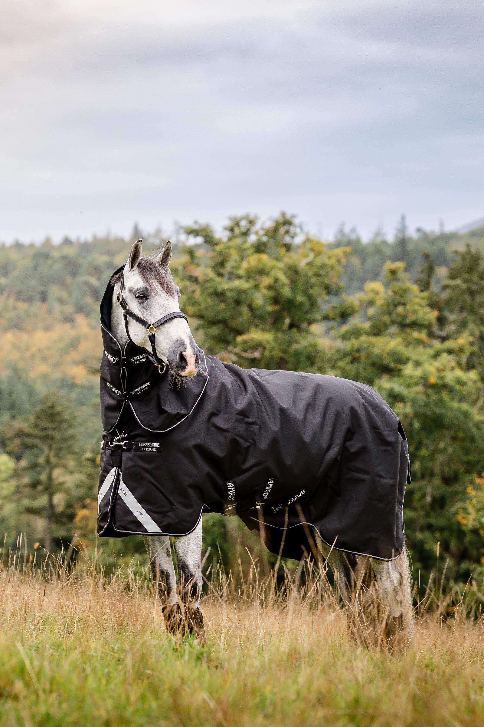Horseware Amigo Super Bravo Plus utetäcke med avtagbart halstäcke, 250 g