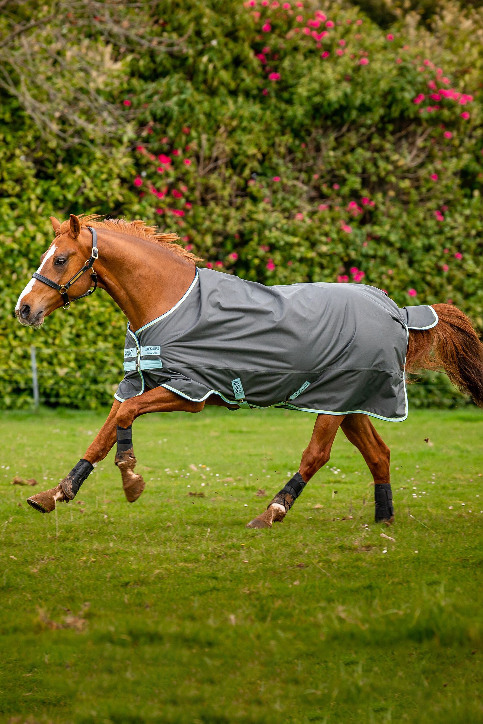 Horseware Amigo Hero Ripstop utetäcke med fleecefoder, 50g