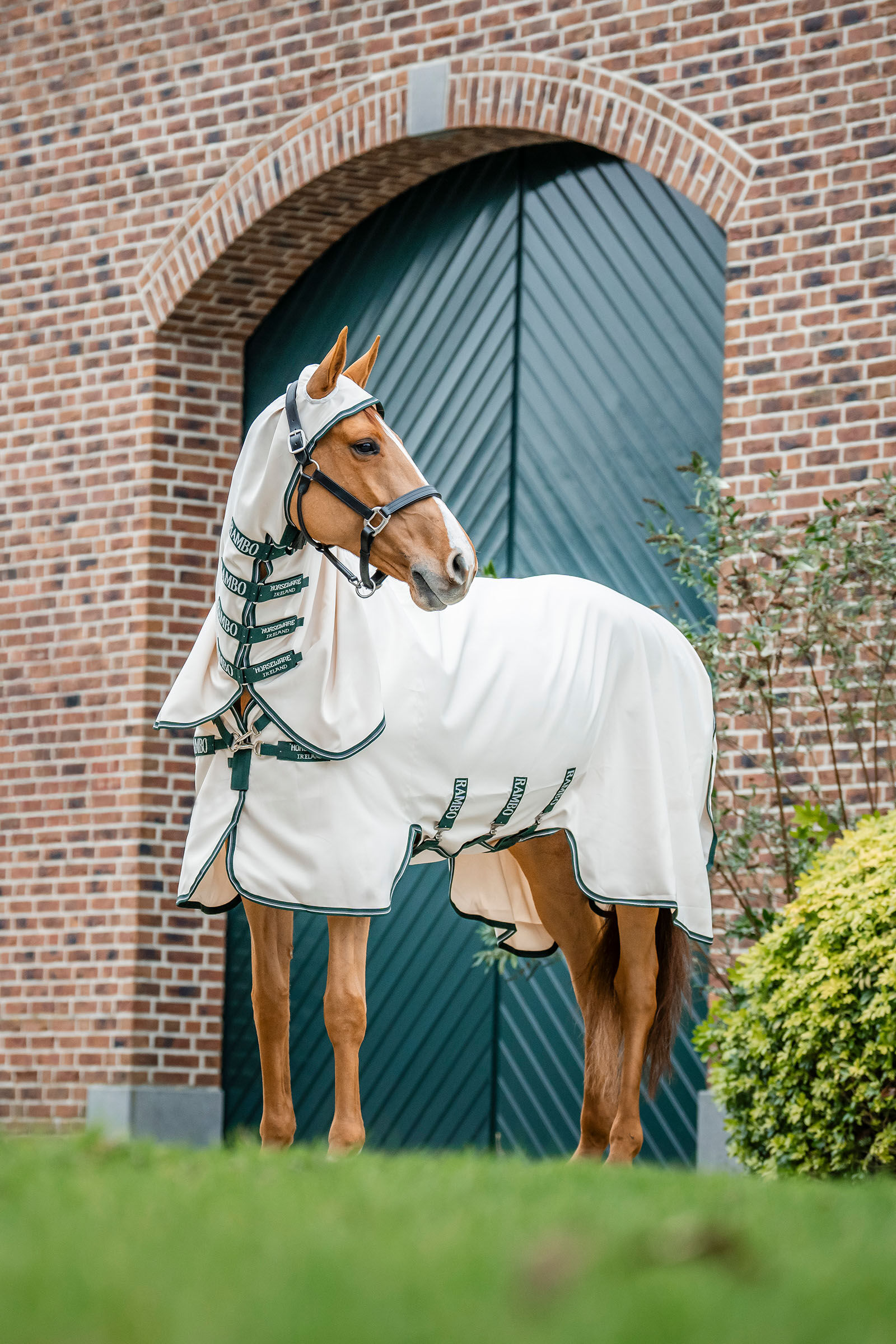 Horseware Rambo Hoody