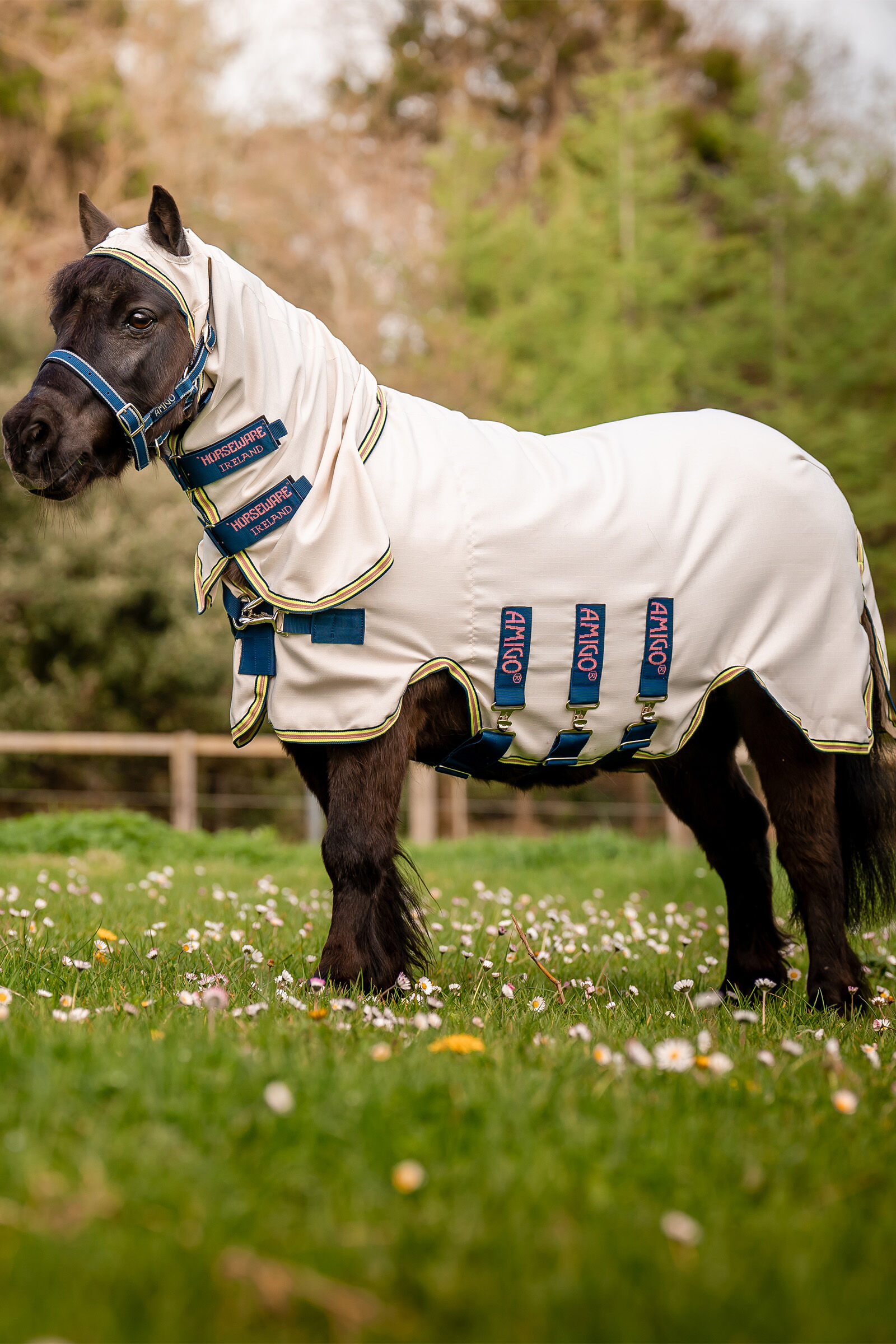 Horseware Amigo Ripstop Hoody, Petite