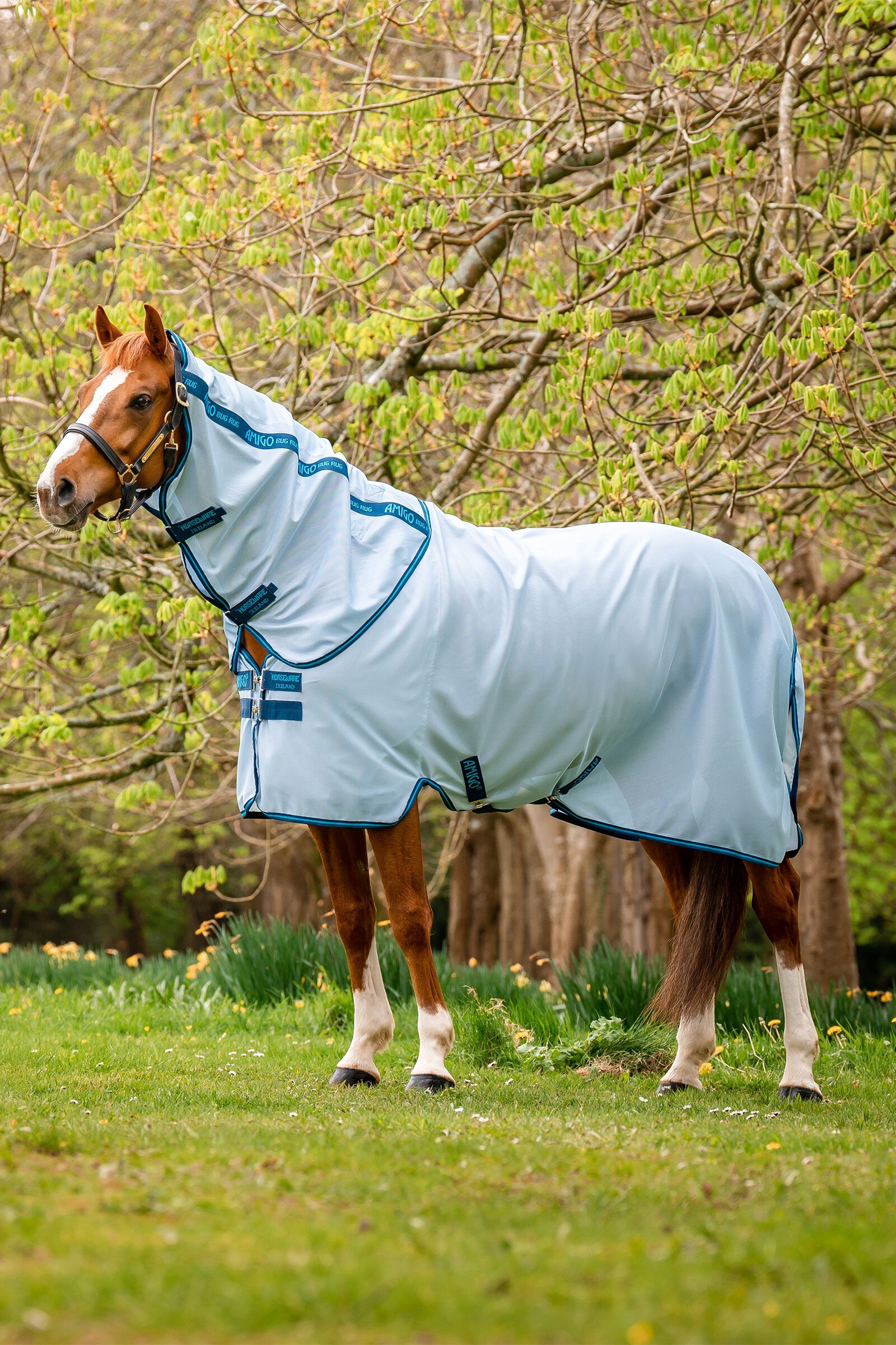 Horseware Amigo Coperta antimosche
