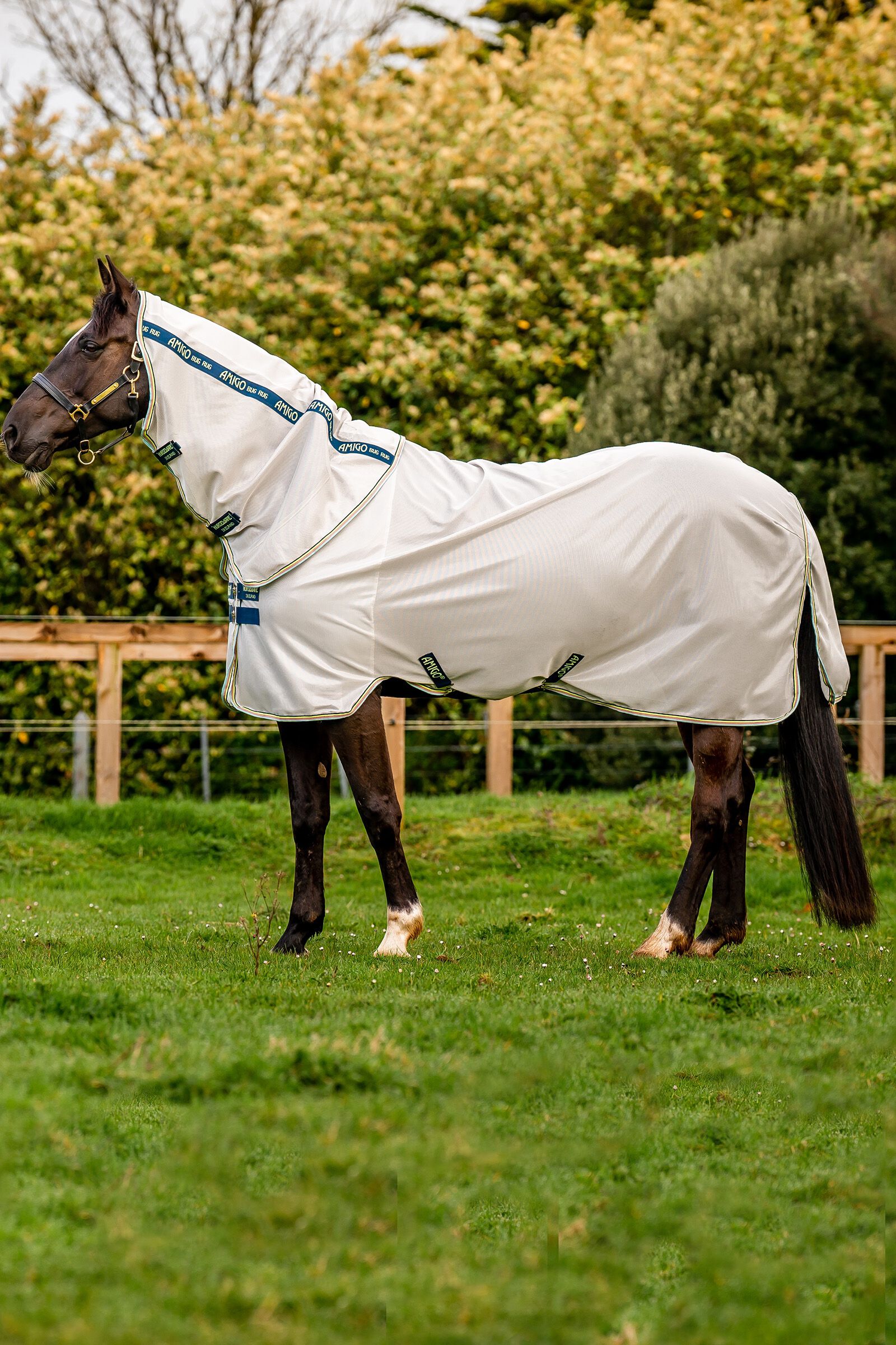 Horseware Amigo Coperta antimosche