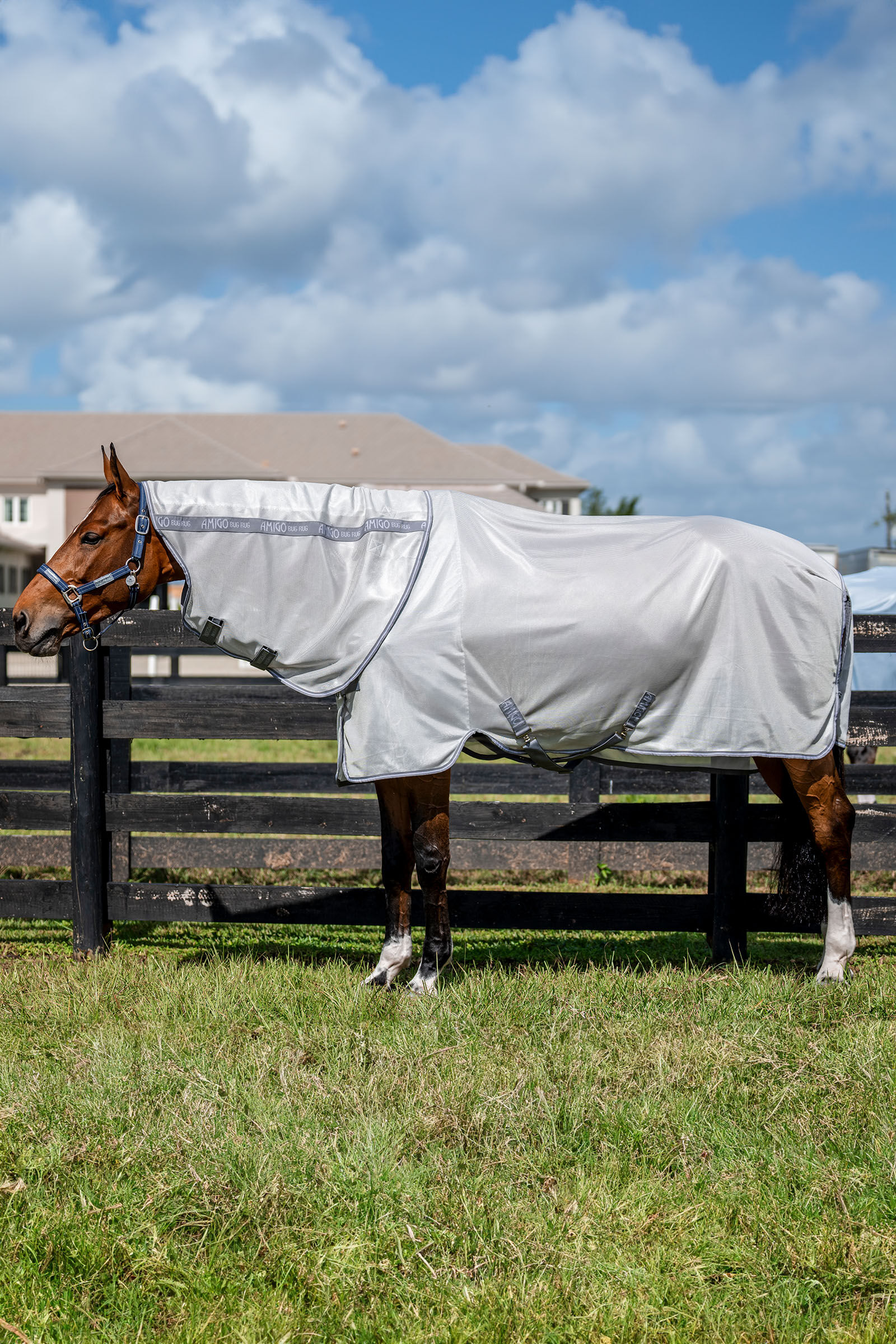 Horseware Amigo Couverture anti-mouches Plus