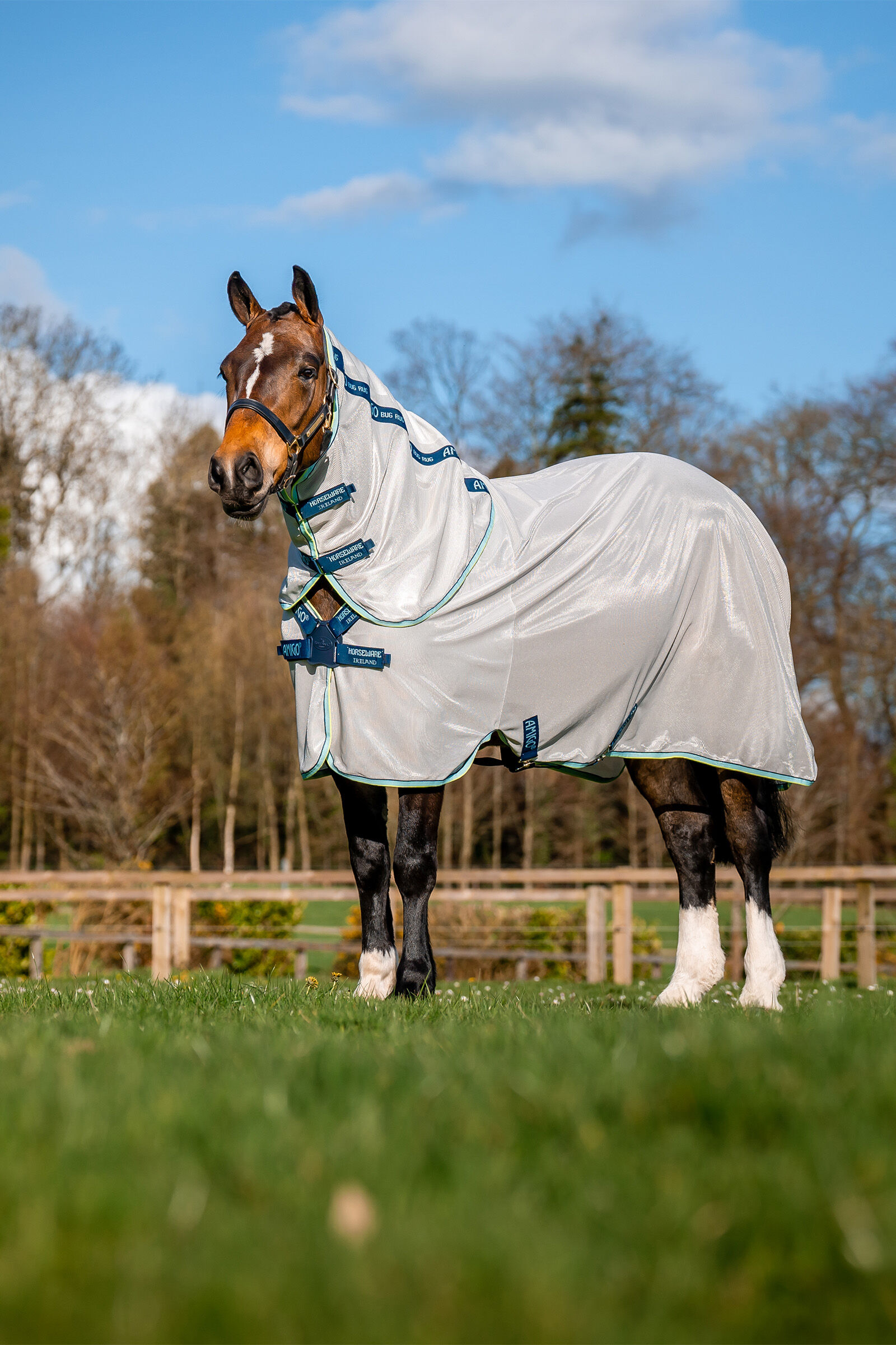 Horseware Amigo XL Derka przeciw owadom z zapięciem Disc