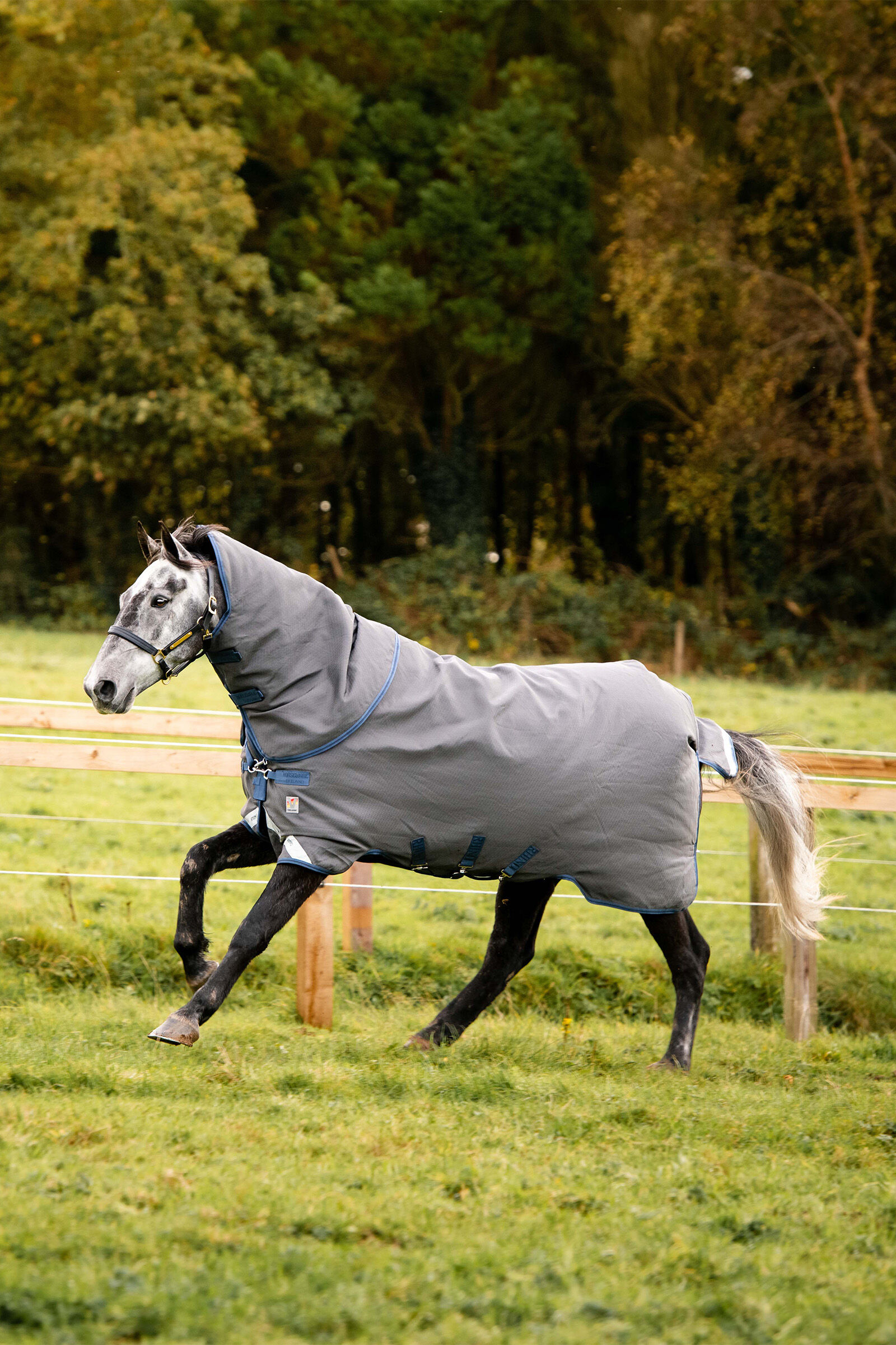 Horseware Rhino Plus HexSTOP, 0g