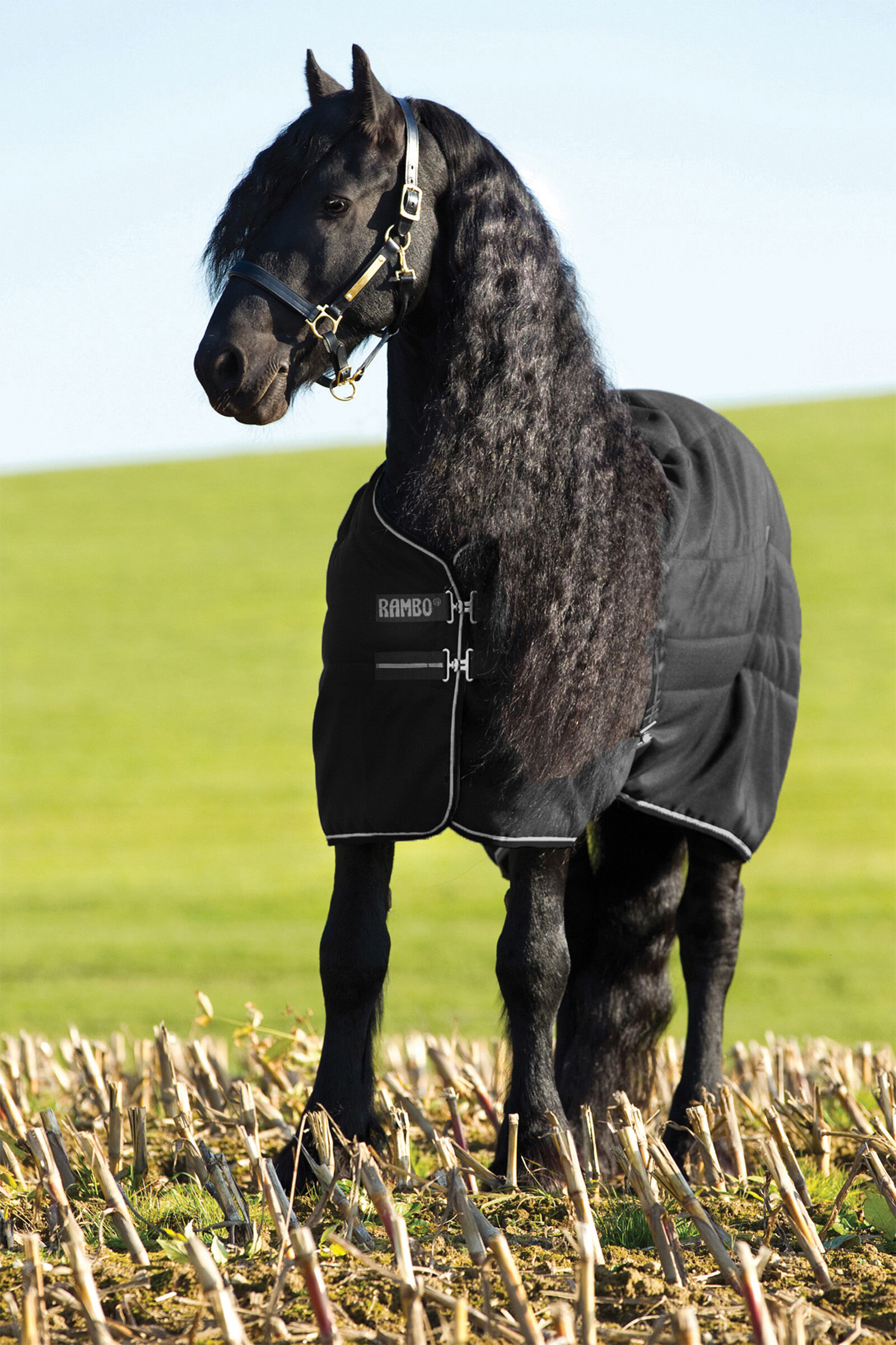Horseware Rambo Stable 200g