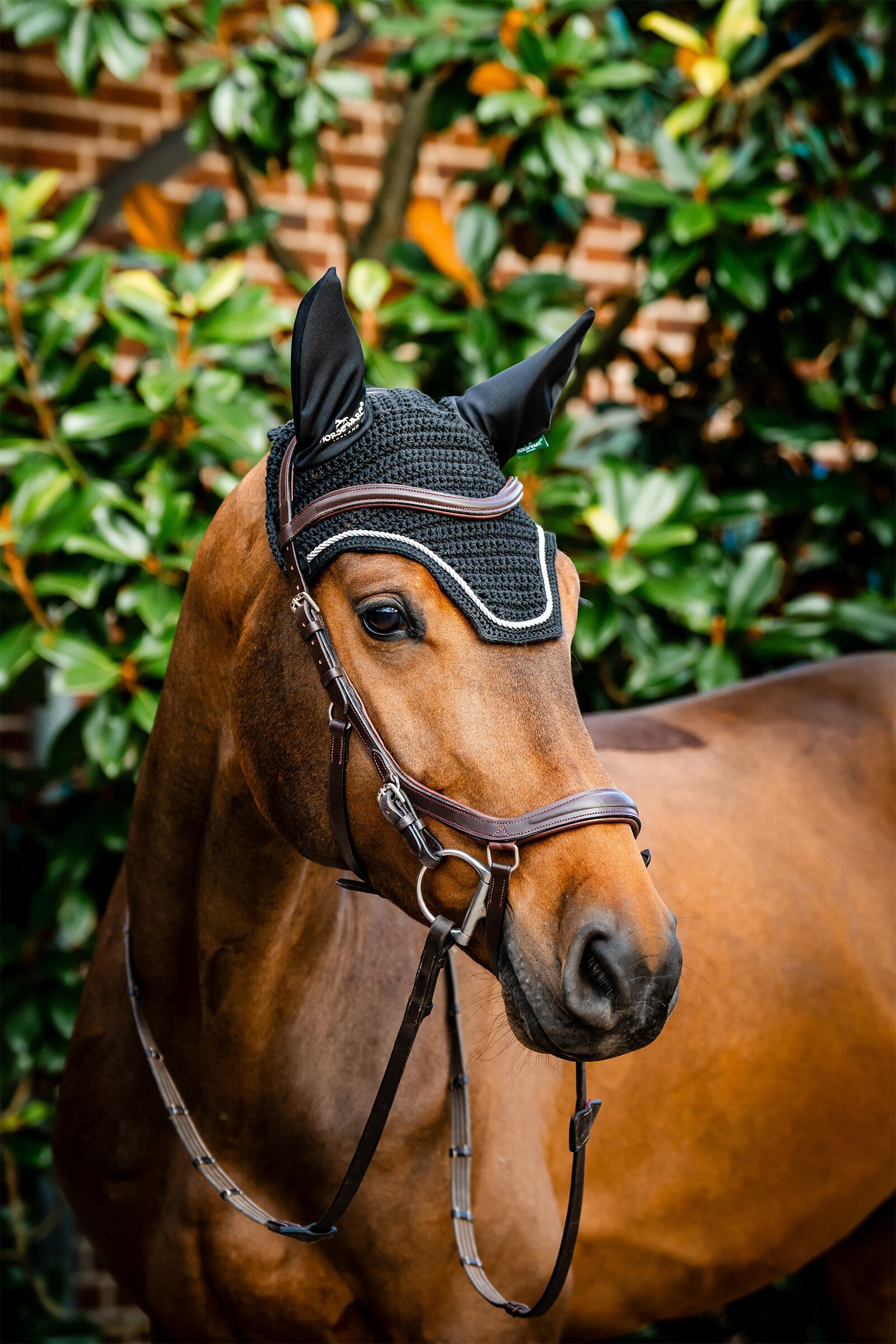 Kaptur przeciw muchom Horseware Signature