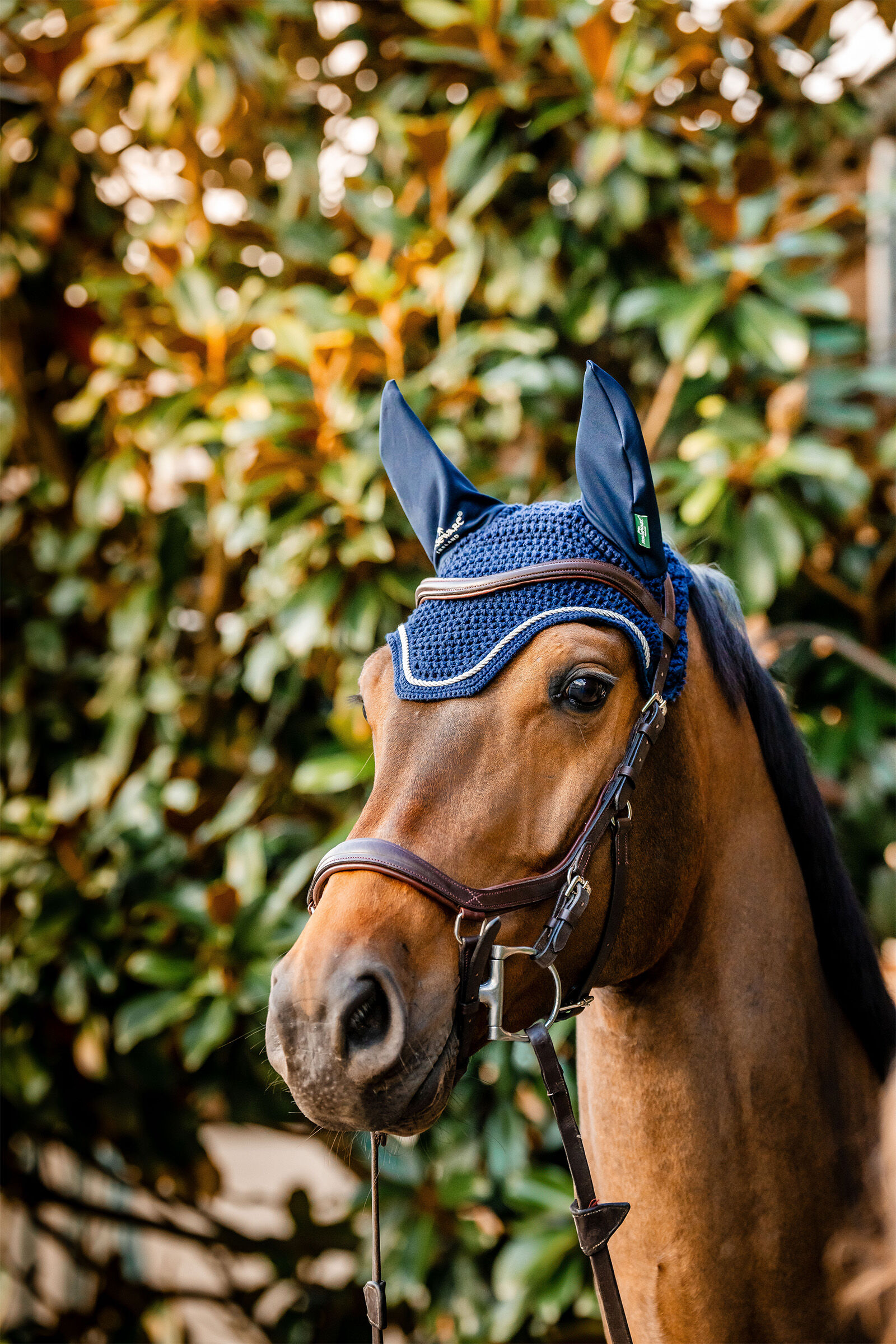 Horseware Signature repülőkabát