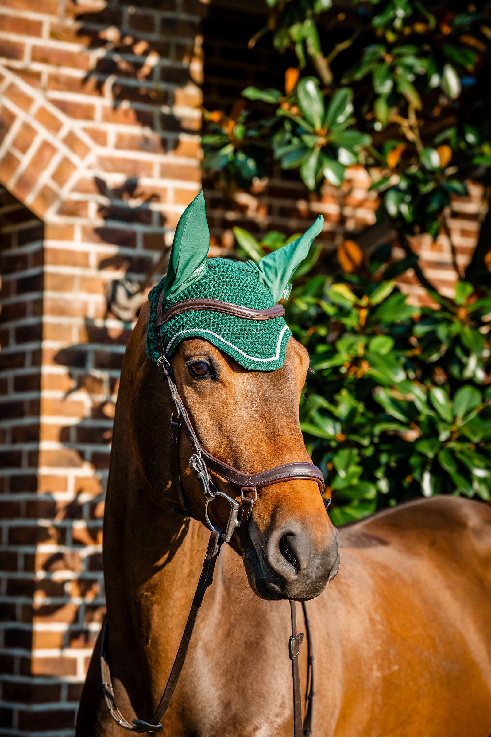 Horseware Signature Ear Net