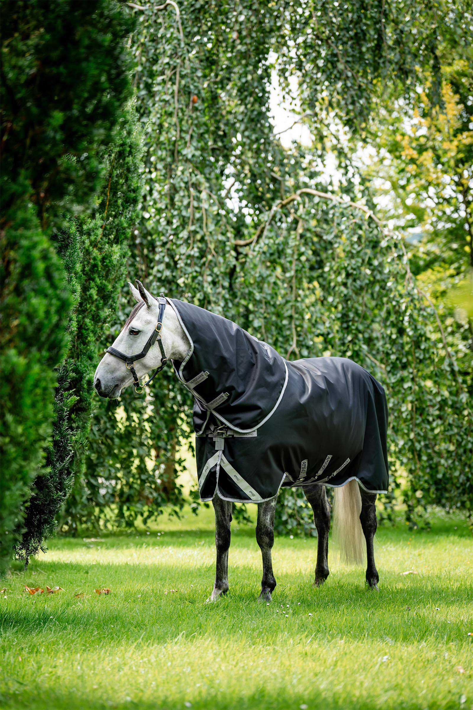Horseware Amigo Bravo 12 Plus Turnout Rug With Detachable Neck, 400g