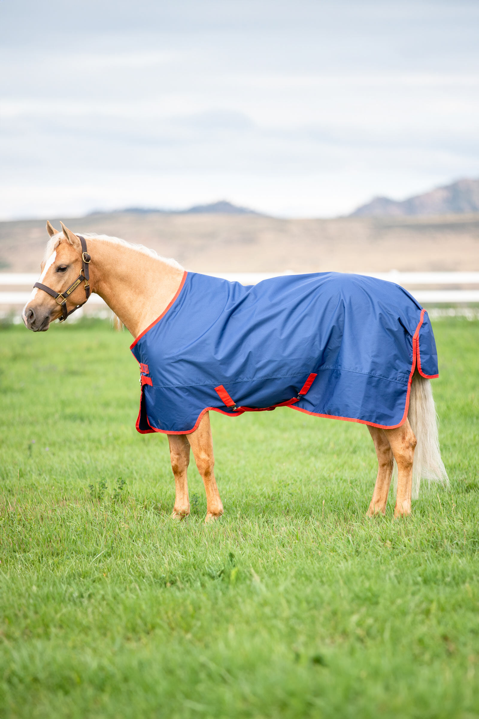 Horseware Mio utetäcke, 200 g