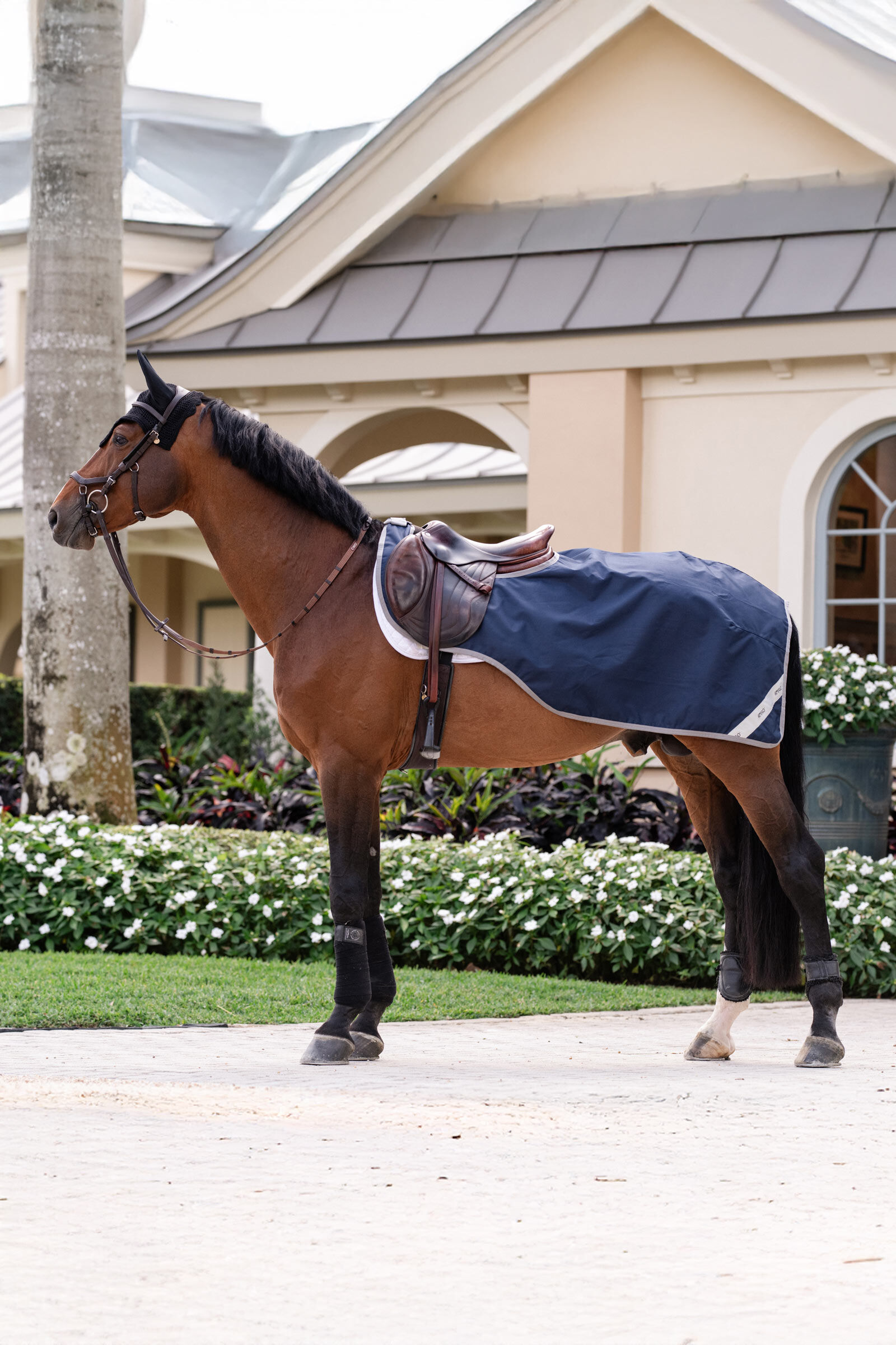 Horseware Amigo Ripstop ridtäcke