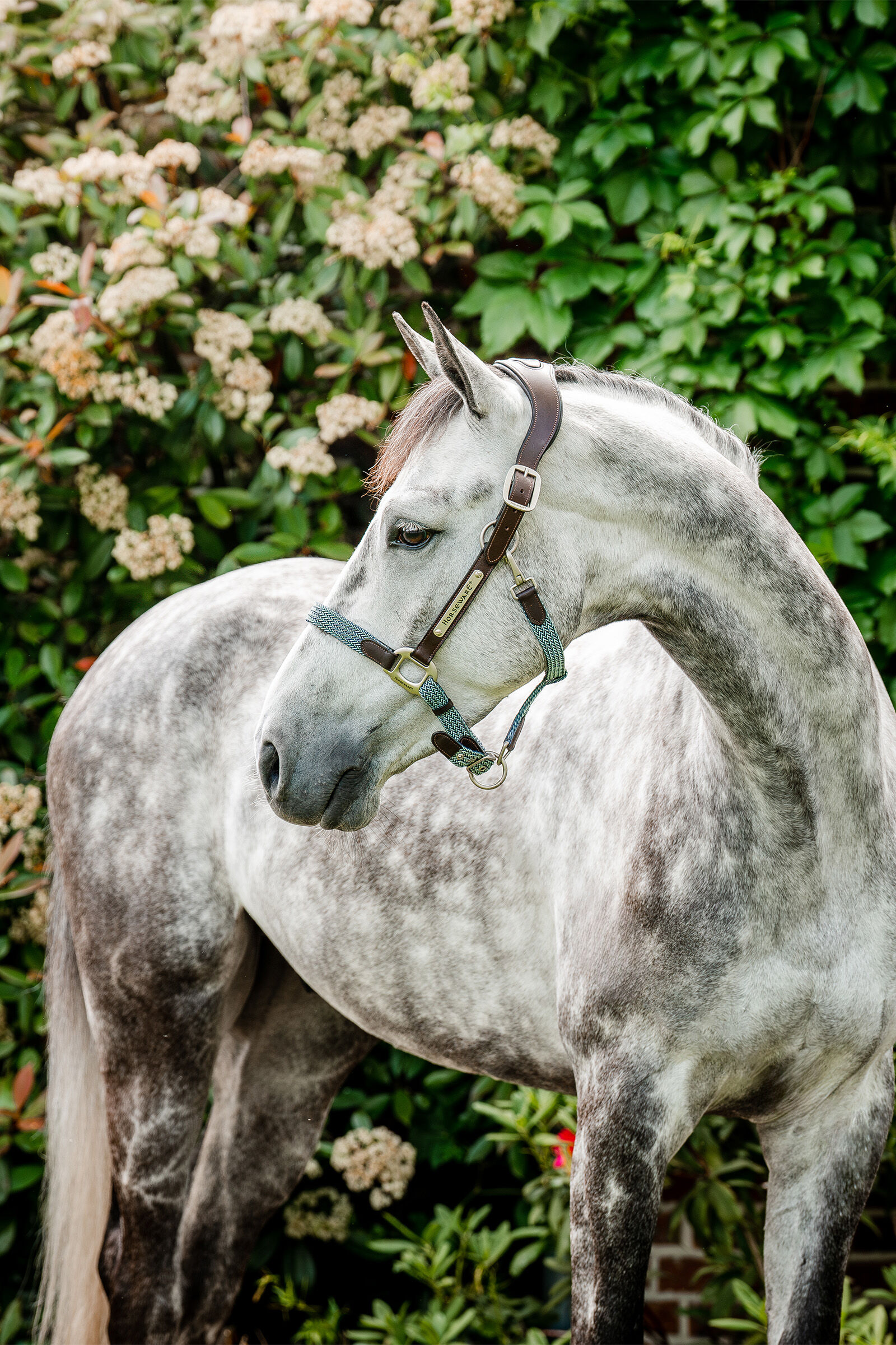 Horseware Signature Gevlochten Halster