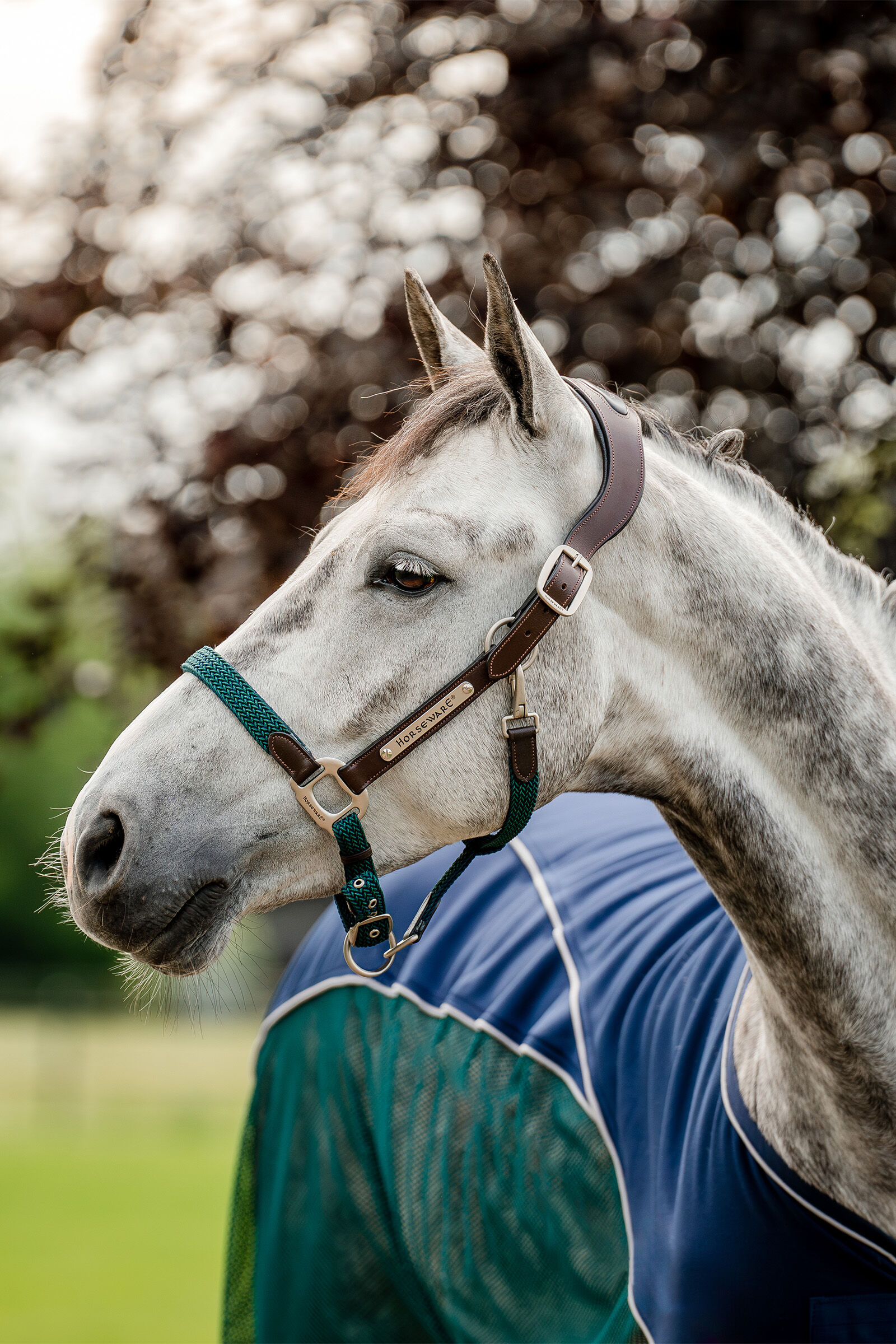 Horseware Signature flätad grimma