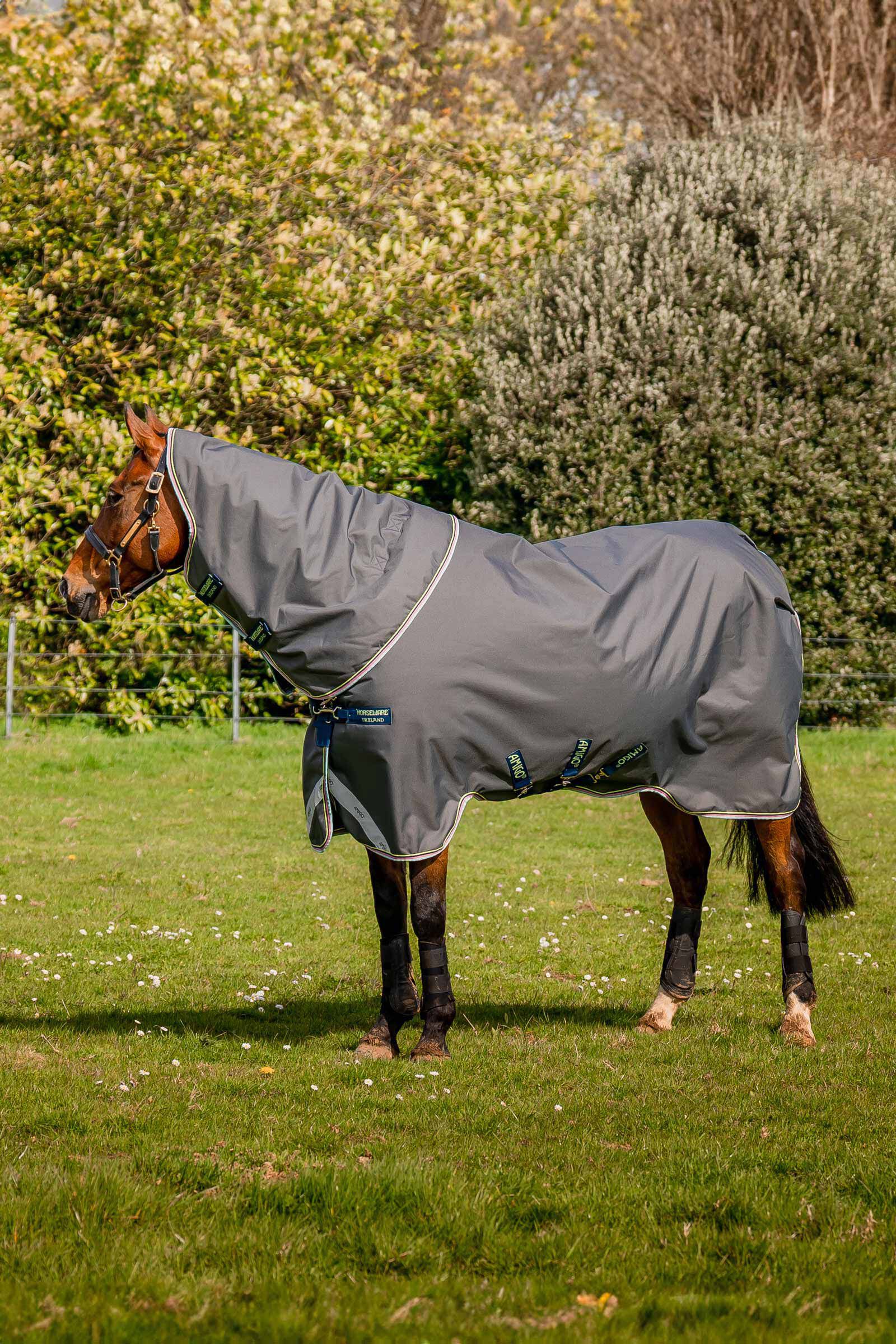 Horseware Amigo Bravo 12 Plus coperta da turnout, 250g