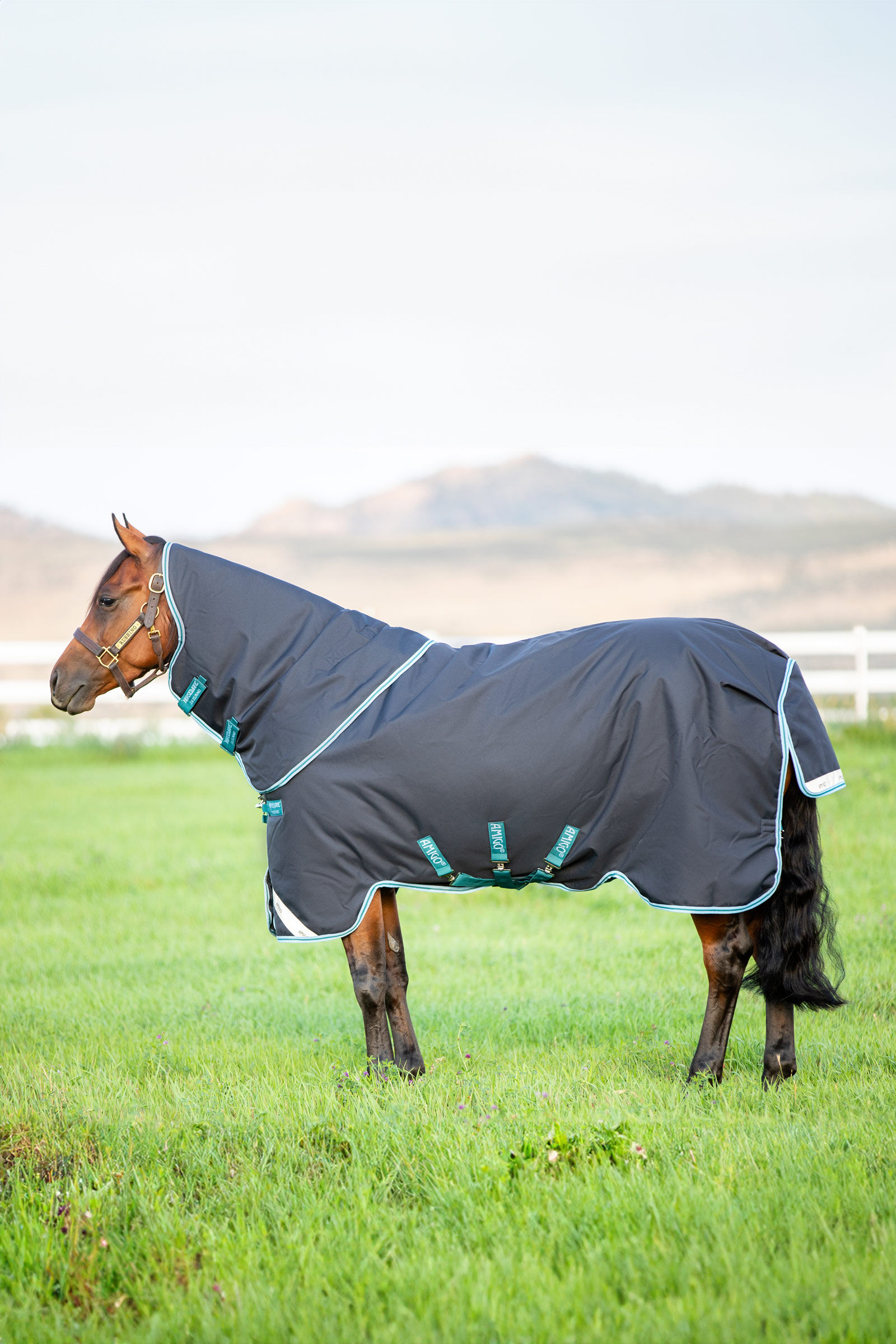 Horseware Amigo Bravo 12 Plus coperta da turnout, 250g, Navy/Airblue, 160