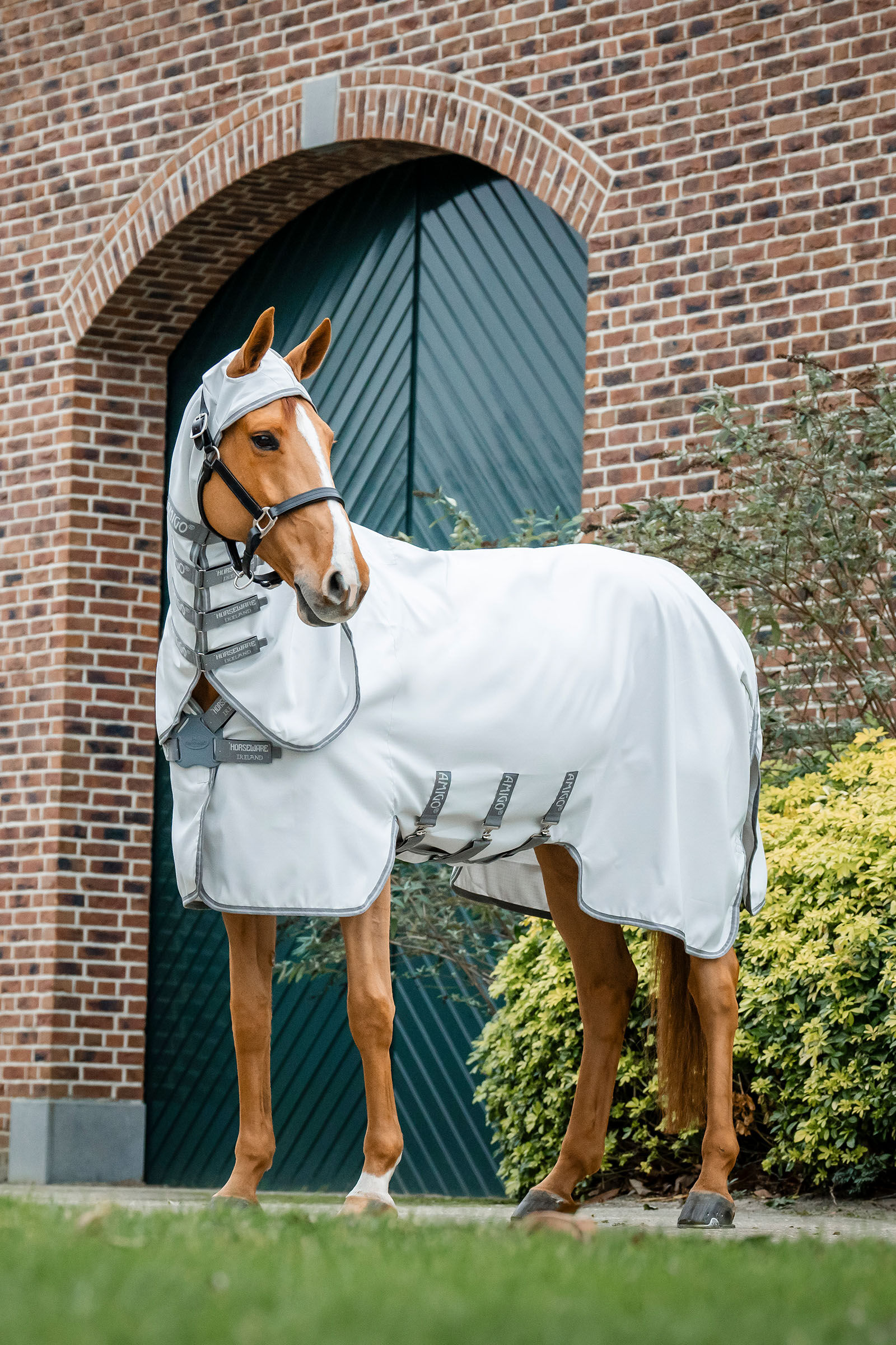 Horseware Amigo Ripstop Flugtäcke