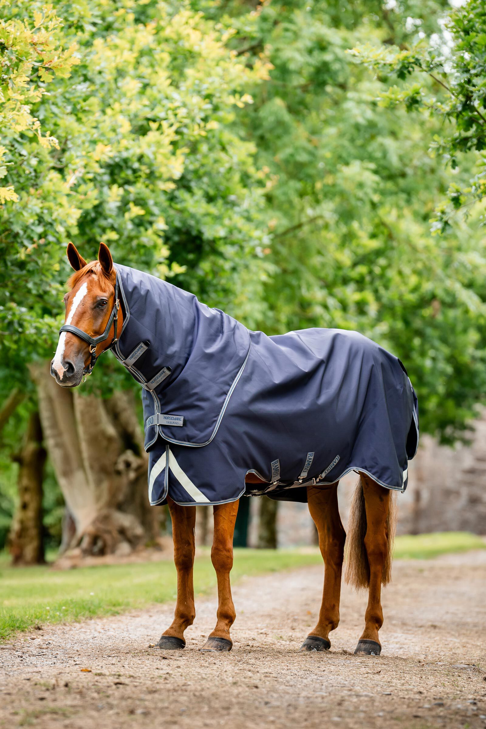 Horseware Rambo Duo Force 2.0, couverture de cheval 100 g (100g extérieur avec 100g doublure et 300g doublure)