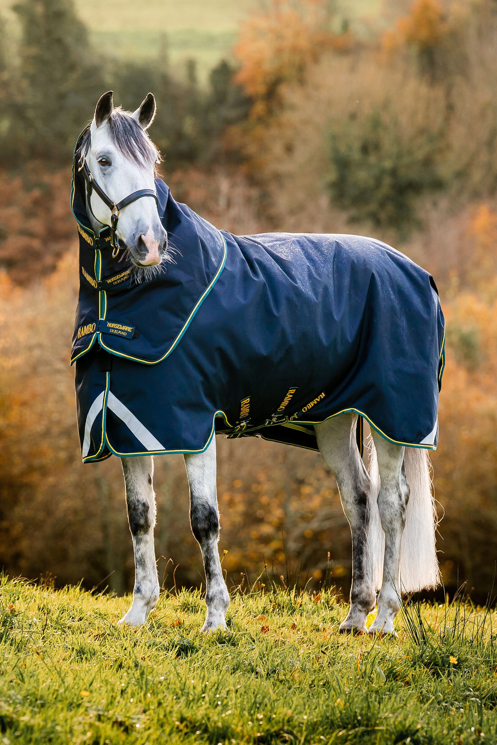 Horseware Rambo Duo Force 2.0 Turnout utetäcke, 100g (100 g ytterhölje med 100 g innerhölje och 300 g innerhölje)