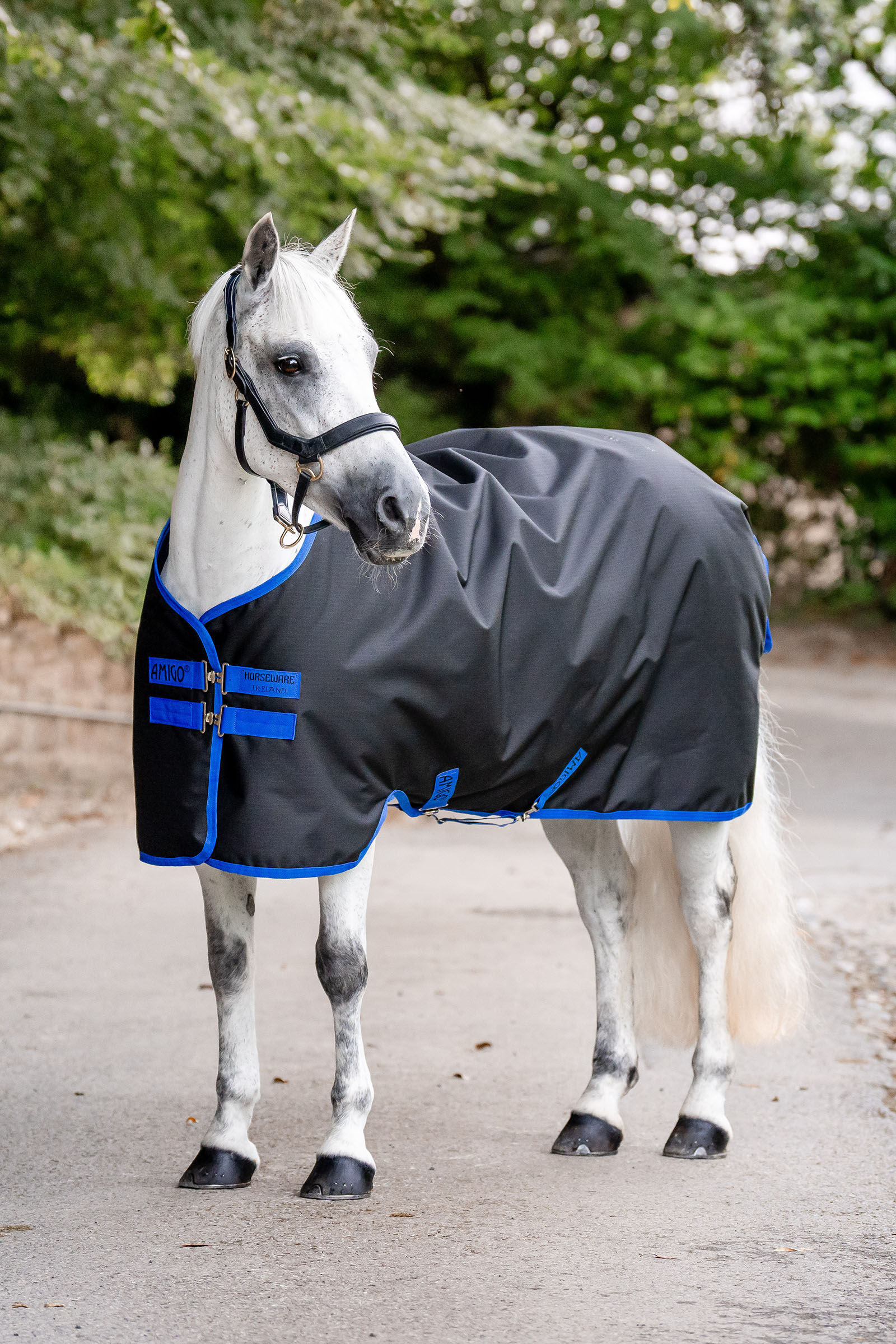 Horseware Amigo Ripstop 900D Turnout 0g