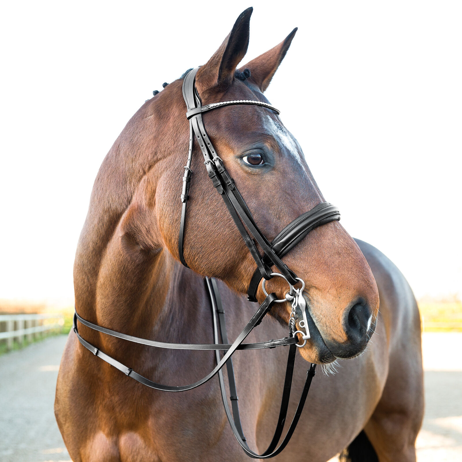 Horze Vienna Anatomischer Kandarenzaum  Black F