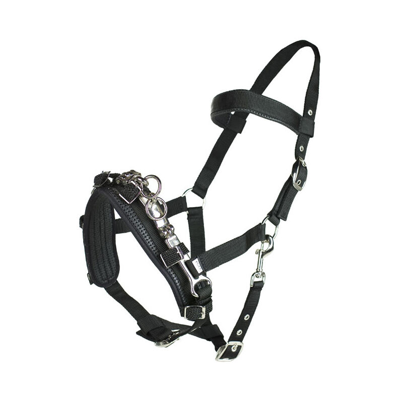 Caveçon Horze, Black, F